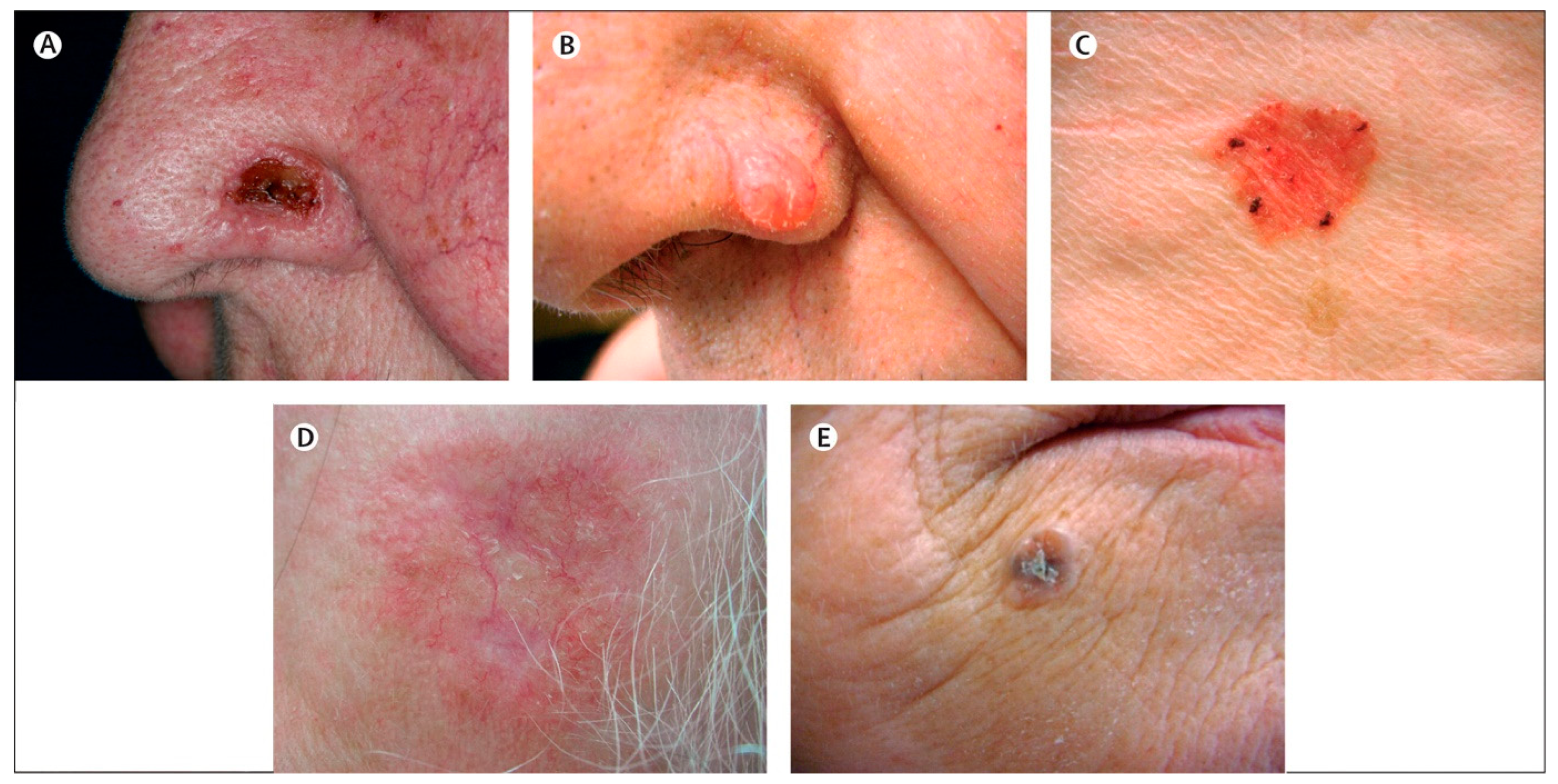 Pharmaceutics 15 02577 g001