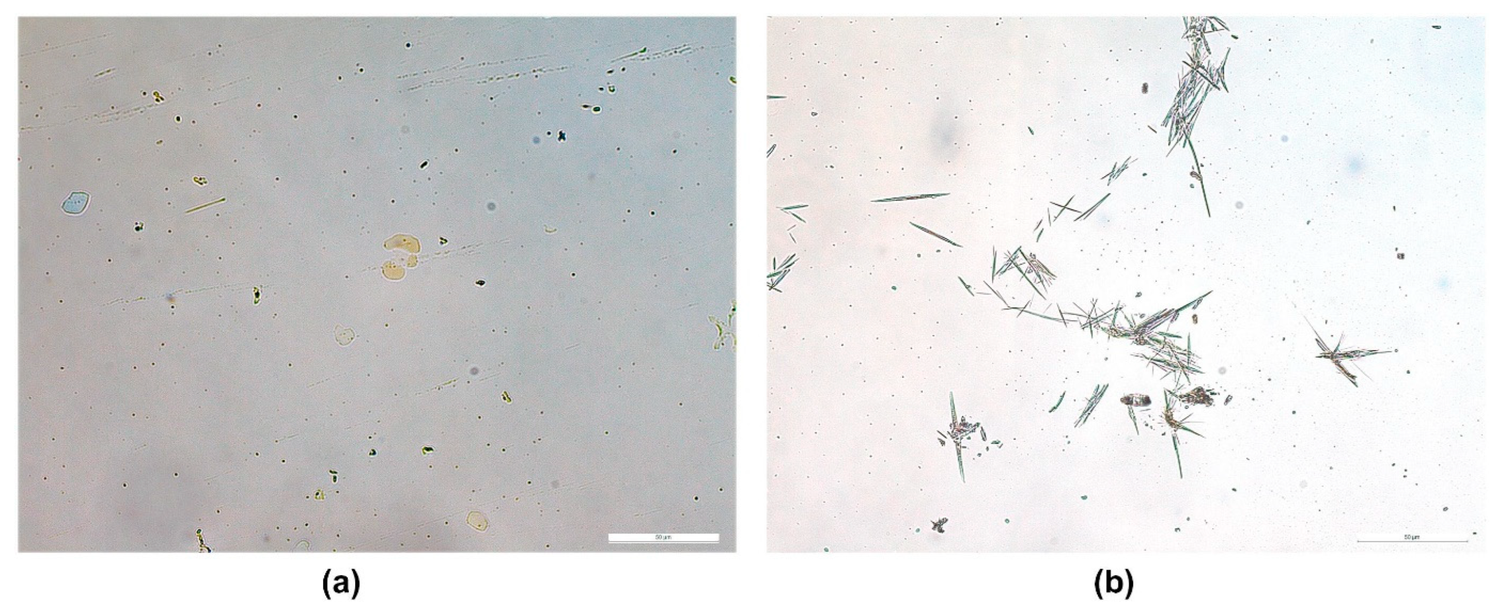 Pharmaceutics 15 02577 g007