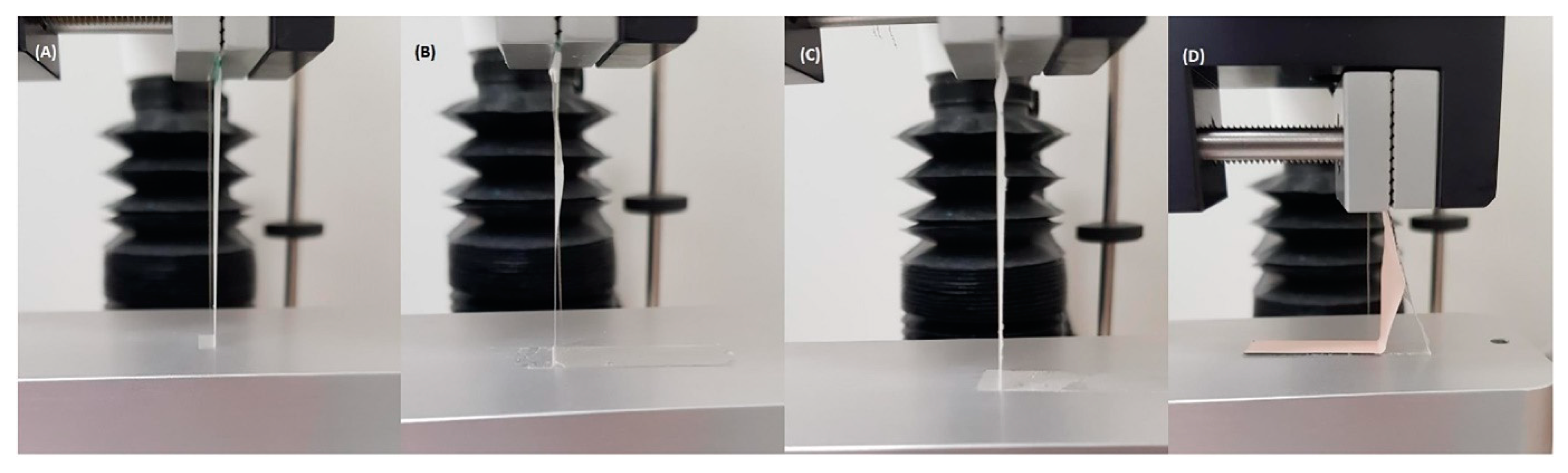 Pharmaceutics 15 02577 g008
