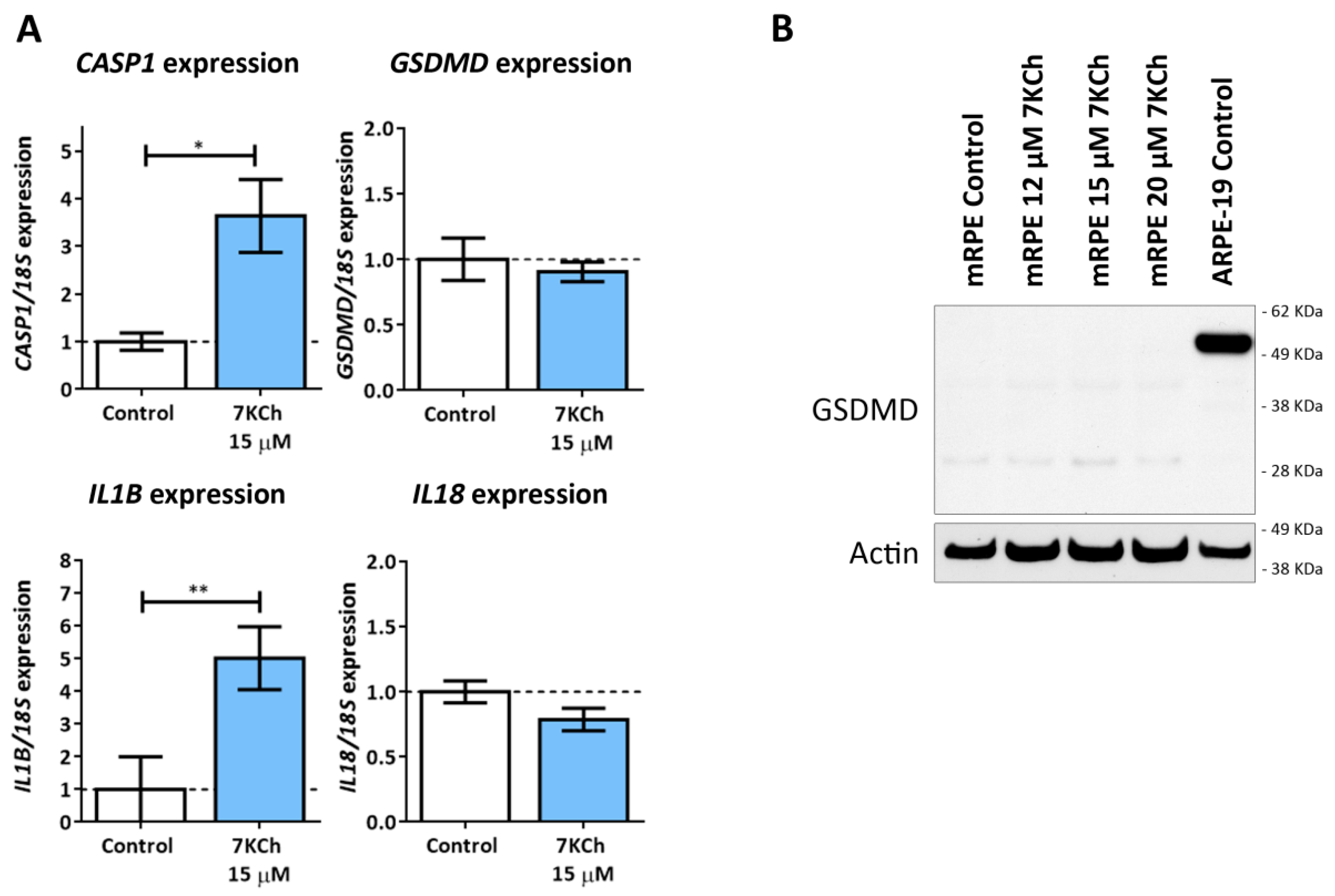 Pharmaceutics 15 02590 g009