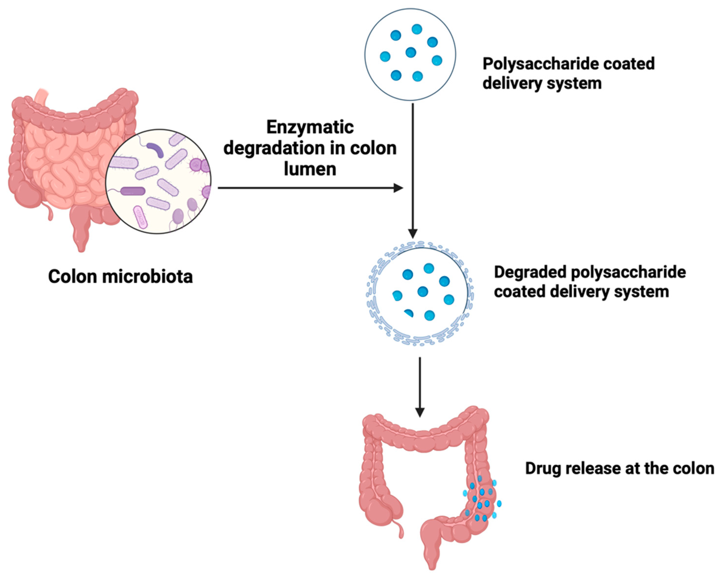 Pharmaceutics 15 02620 g011