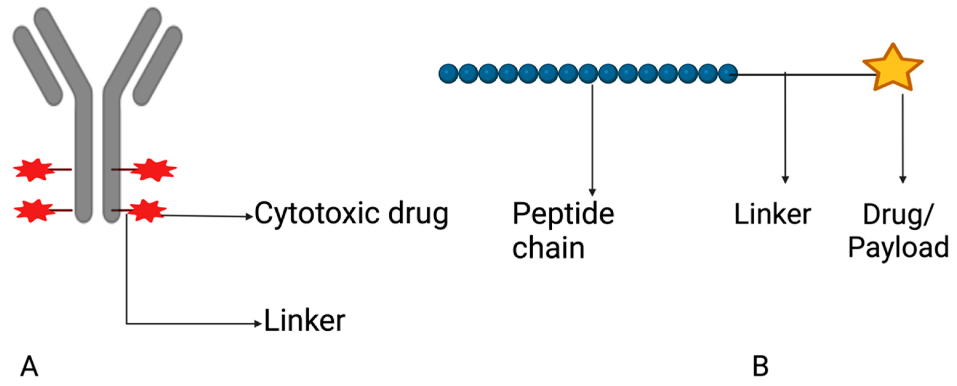 Pharmaceutics 15 02620 g012