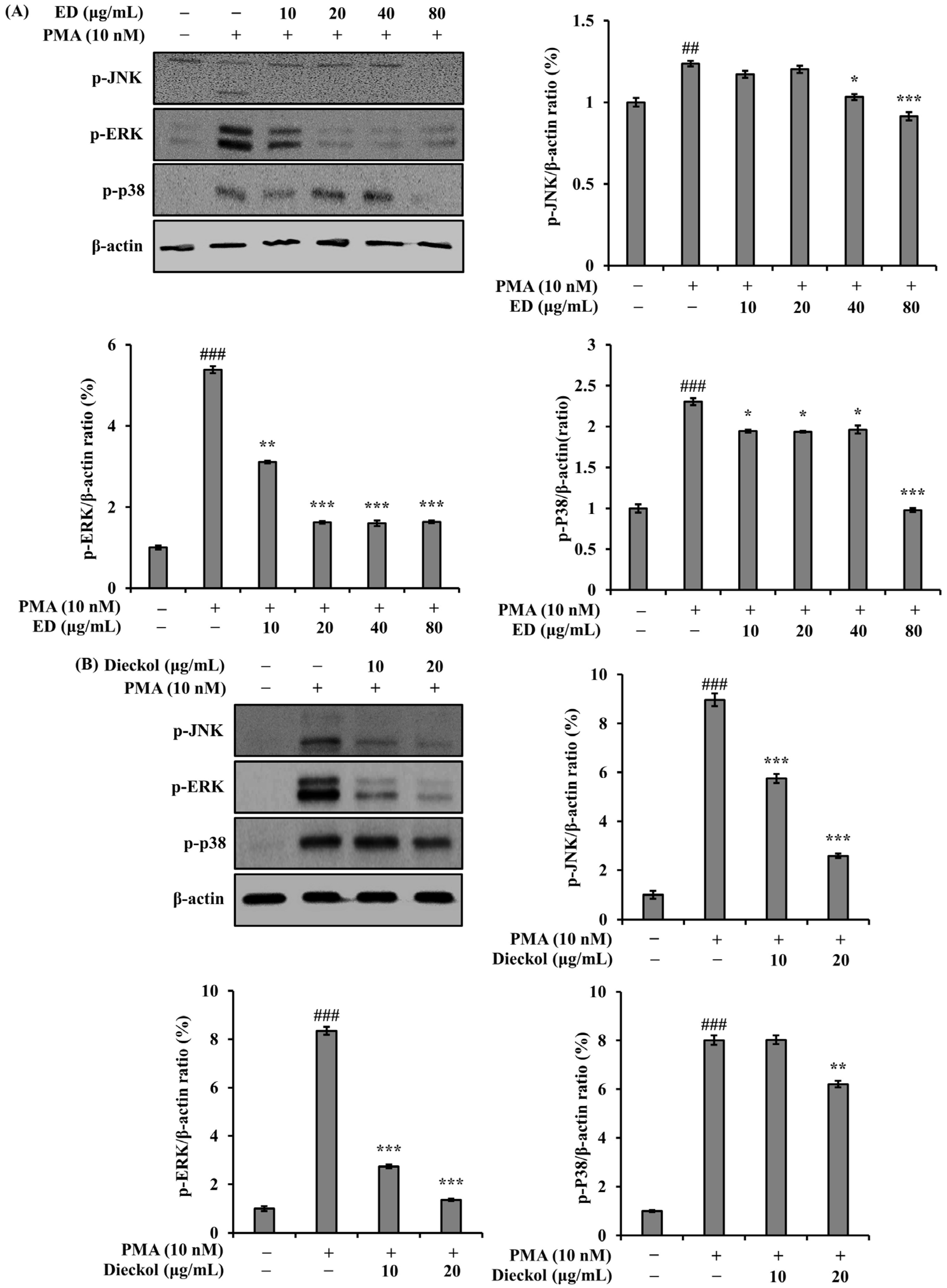 Pharmaceutics 15 02621 g003
