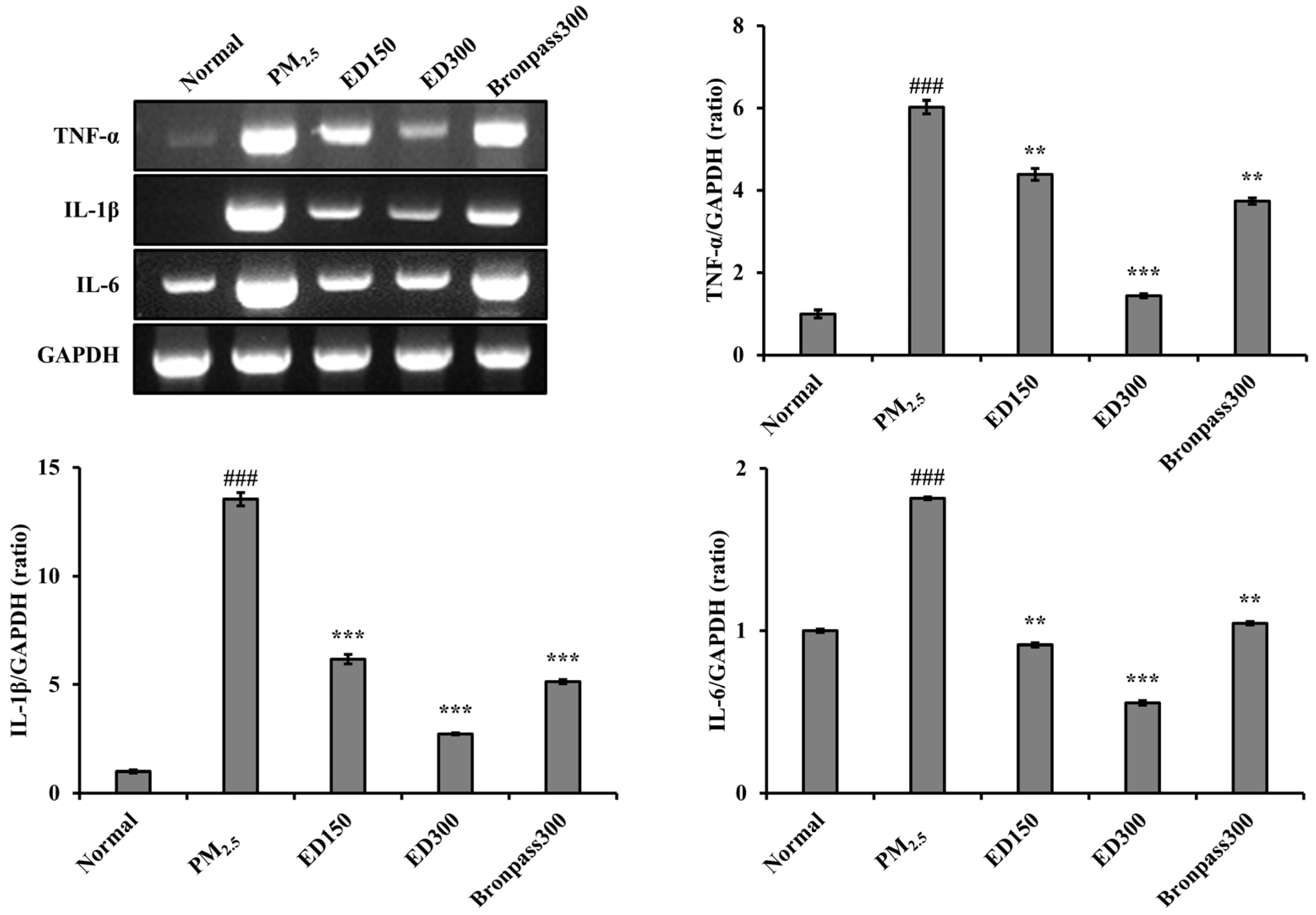 Pharmaceutics 15 02621 g007