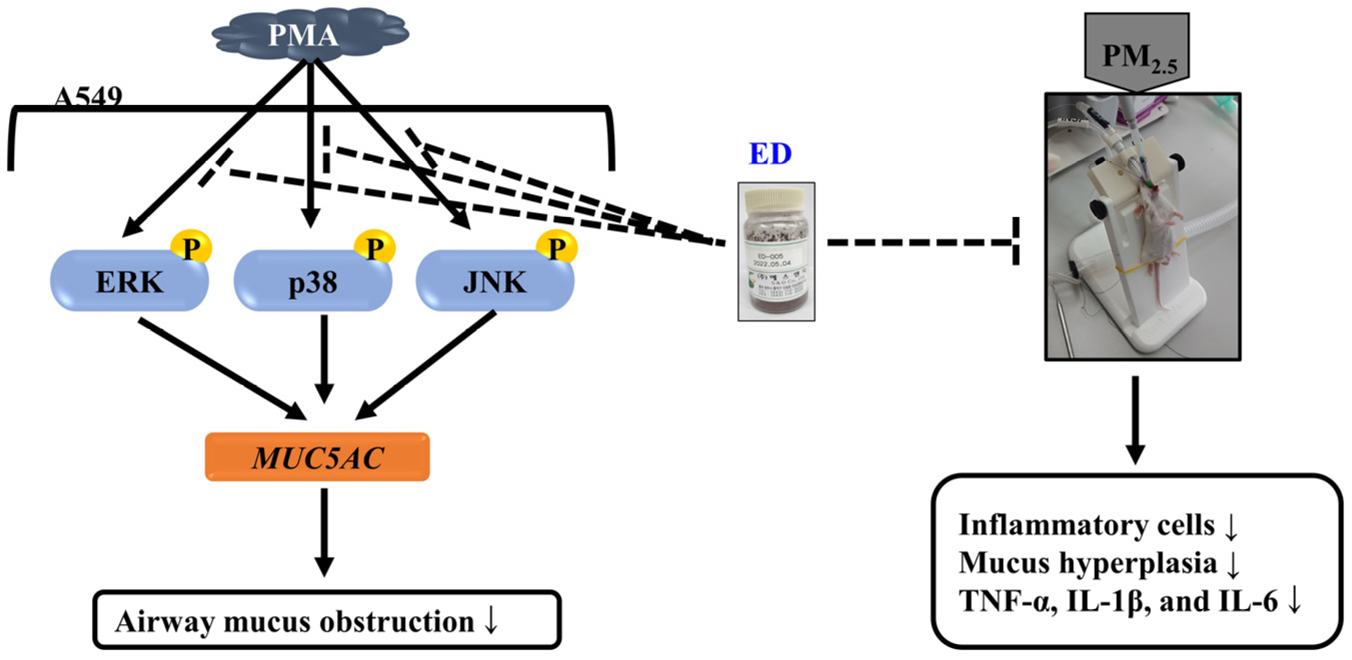 Pharmaceutics 15 02621 g008
