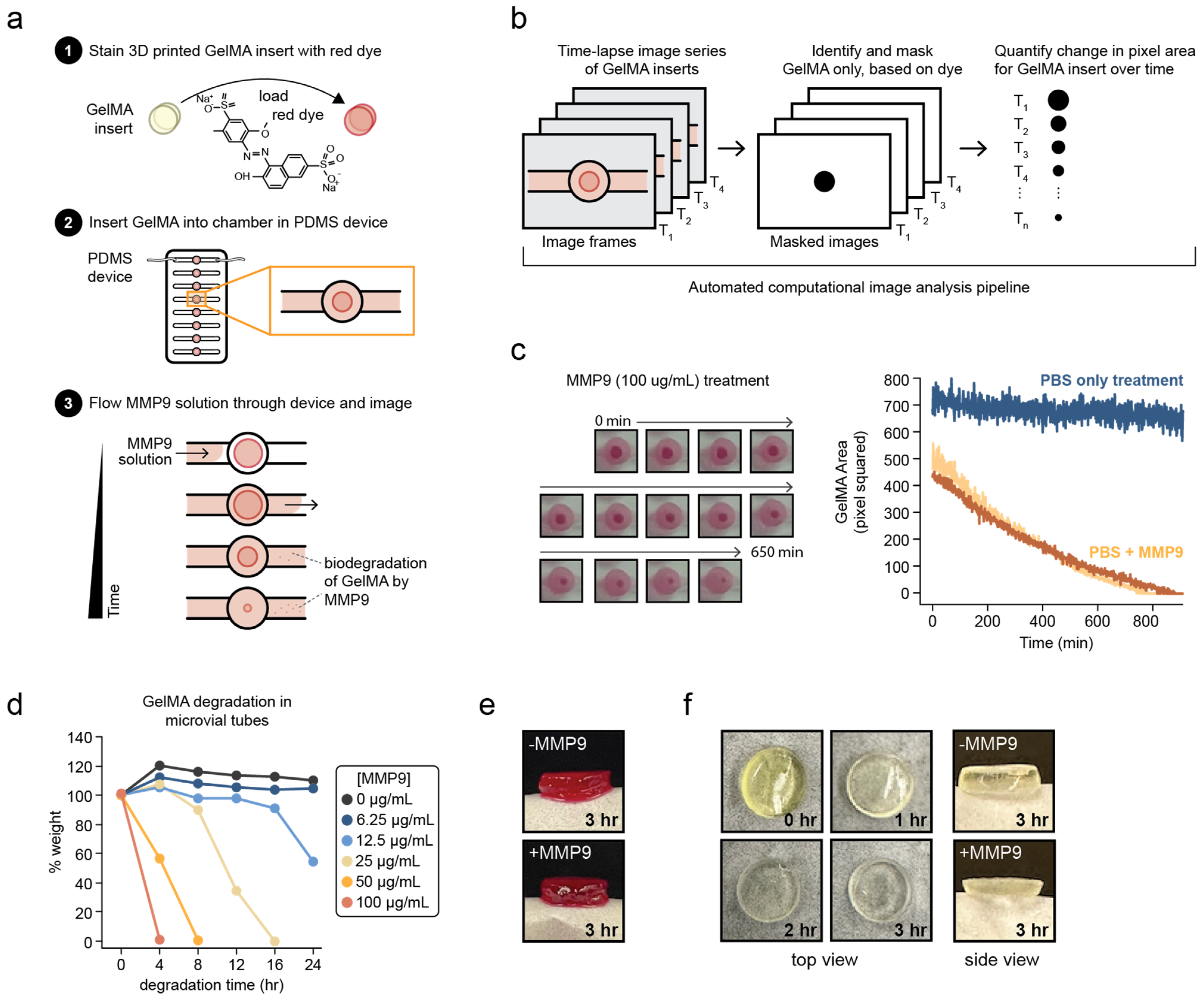 Pharmaceutics 15 02625 g002