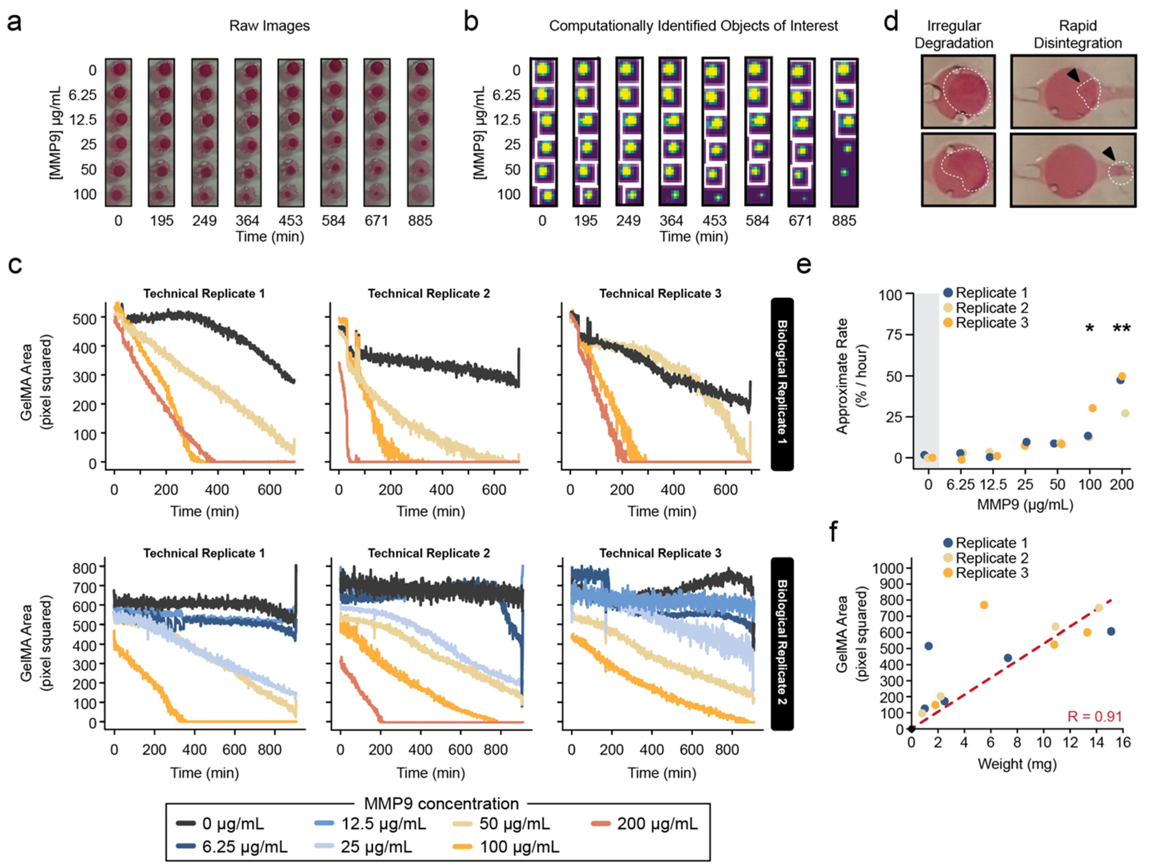 Pharmaceutics 15 02625 g003