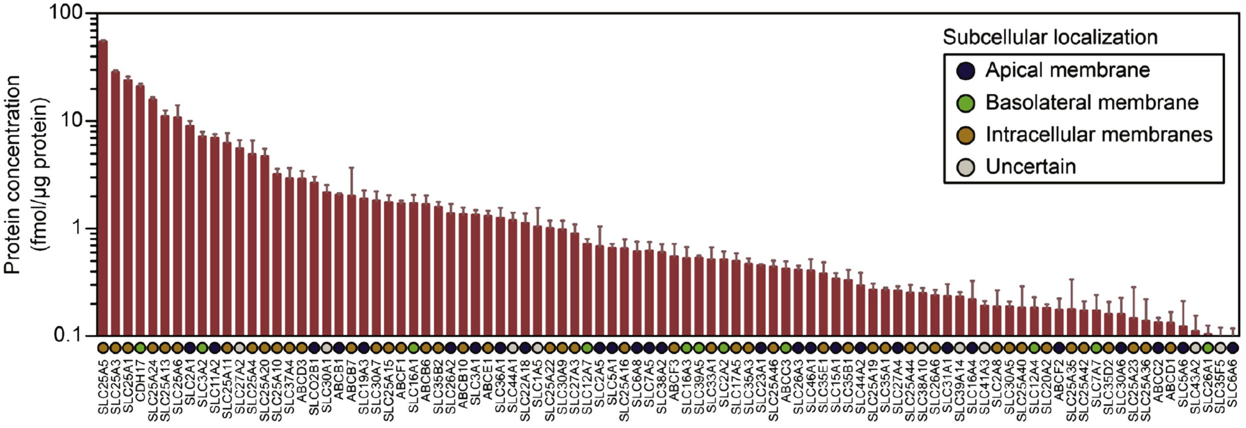 Pharmaceutics 15 02732 g001