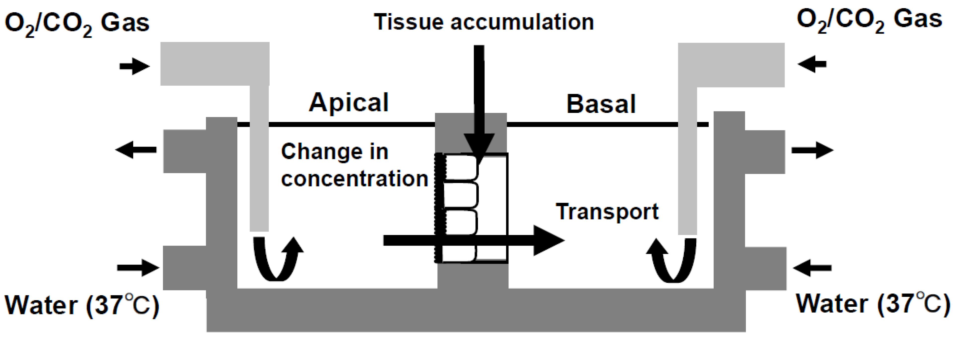 Pharmaceutics 15 02732 g005