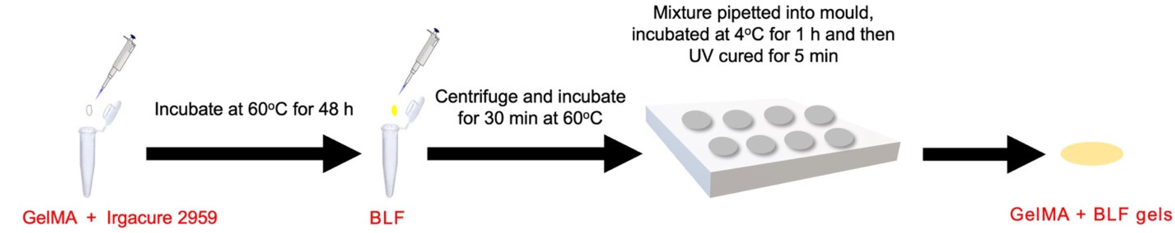 Pharmaceutics 16 00026 g001