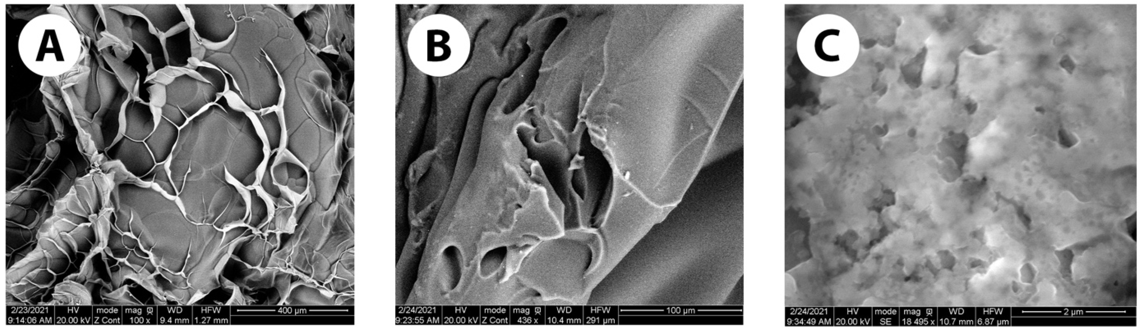 Pharmaceutics 16 00026 g002