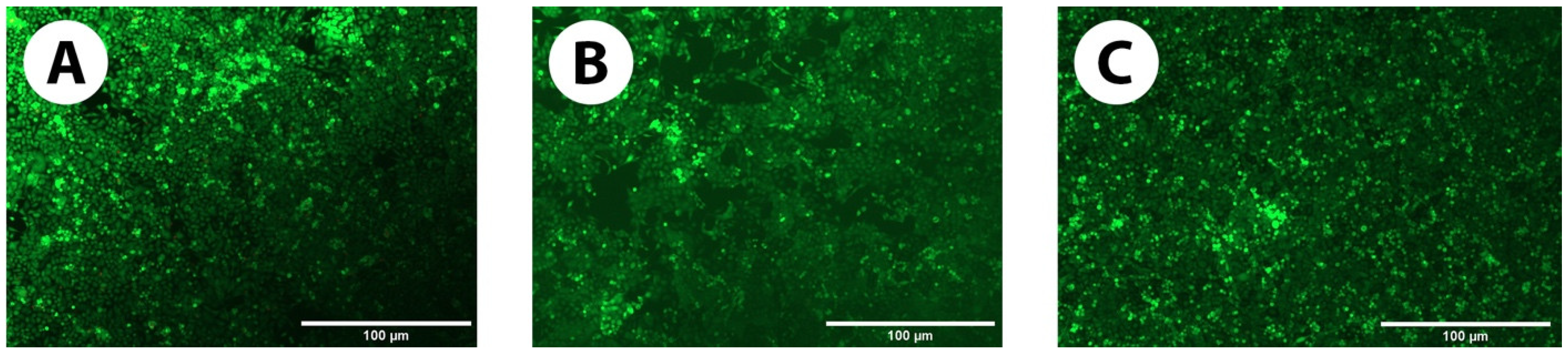 Pharmaceutics 16 00026 g008