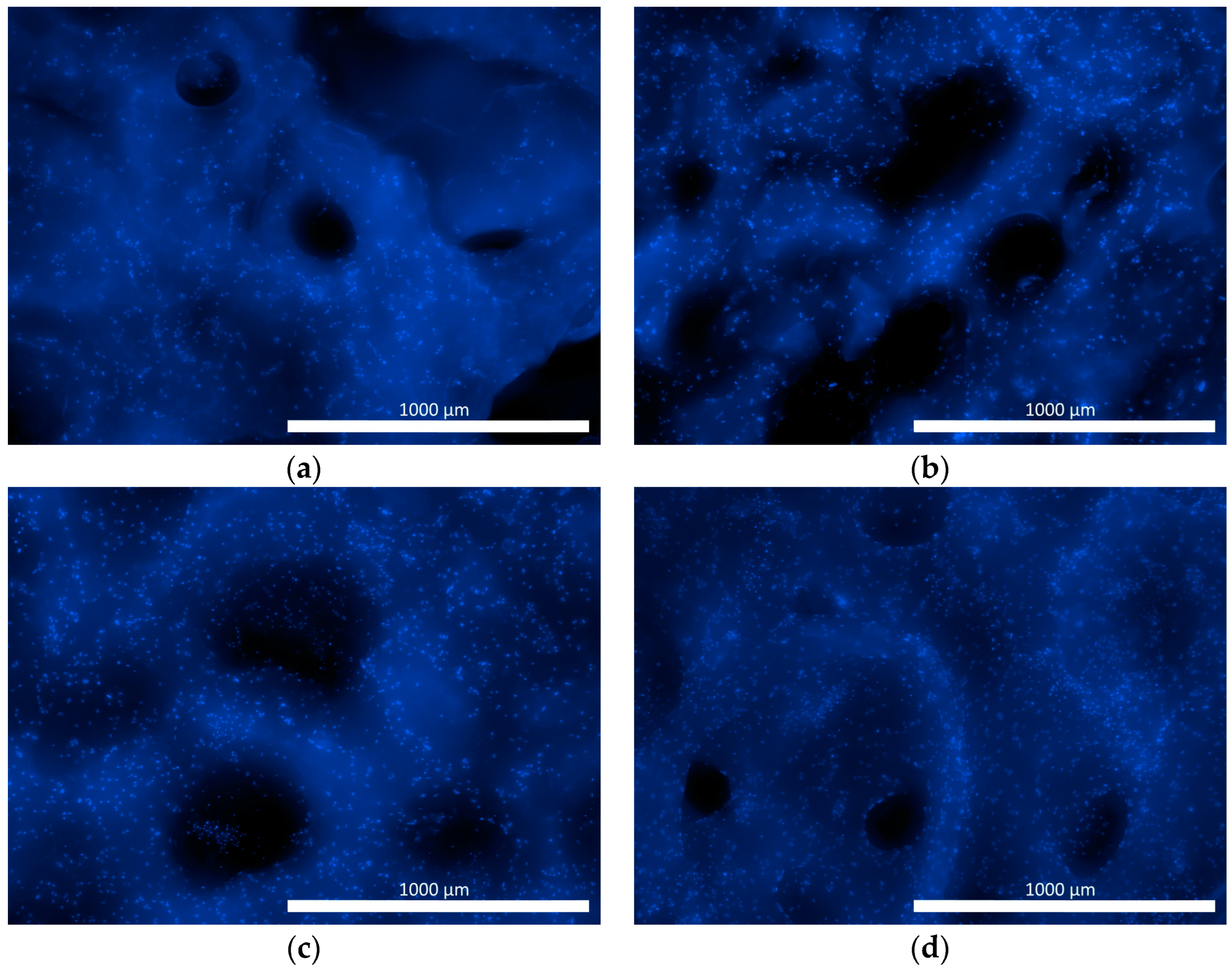 Pharmaceutics 16 00085 g004