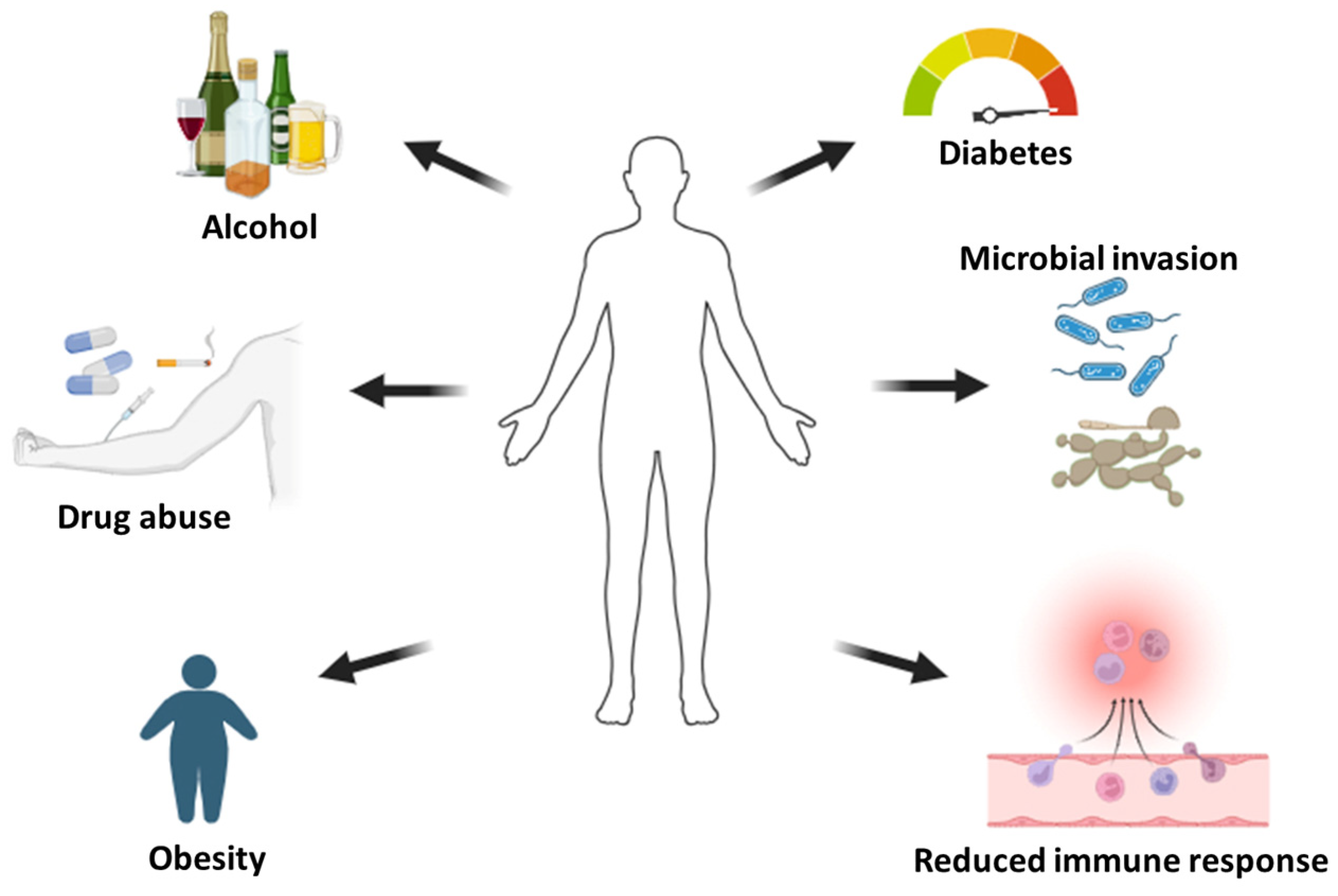 Pharmaceutics 16 00155 g002