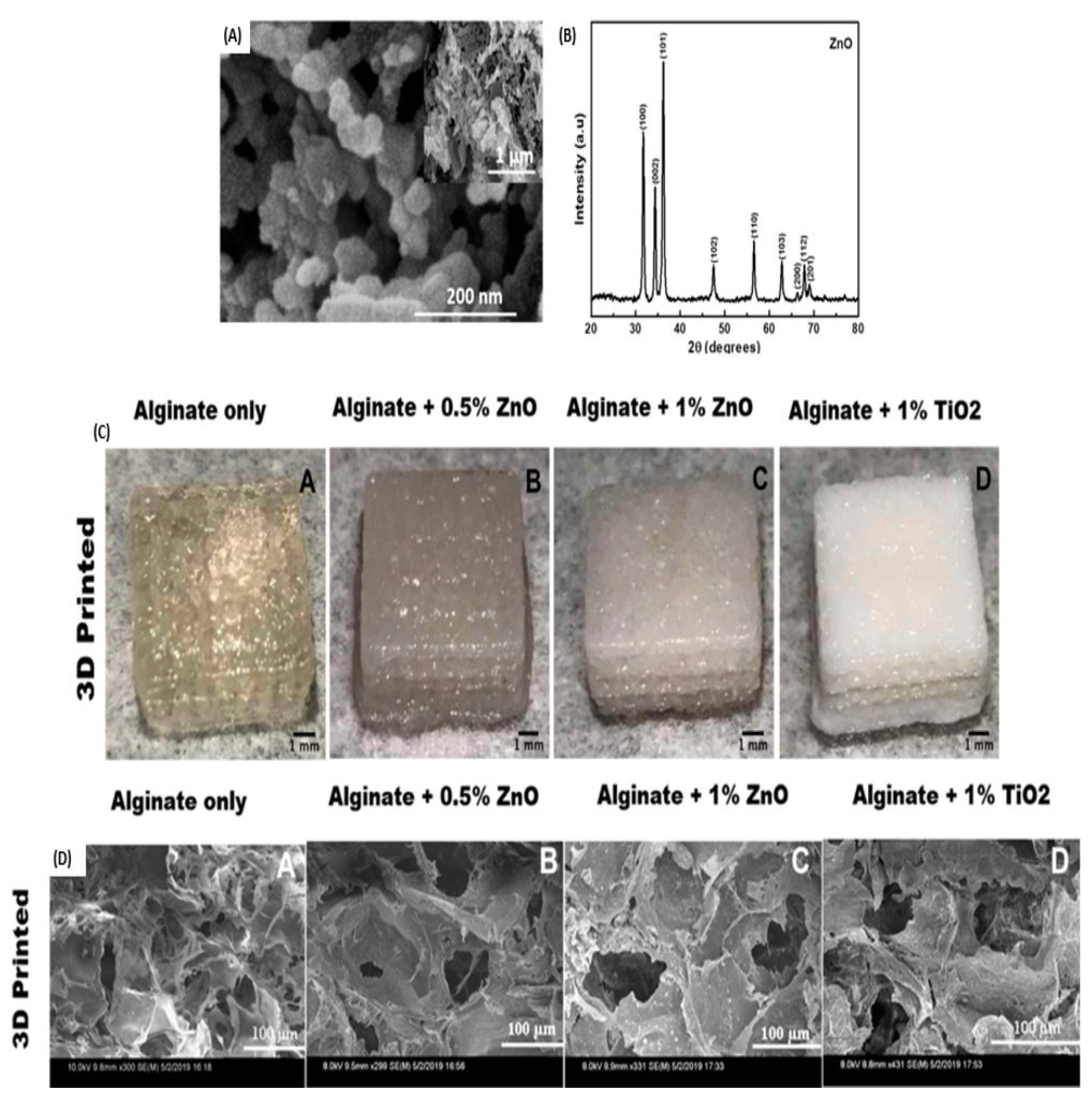 Pharmaceutics 16 00155 g005