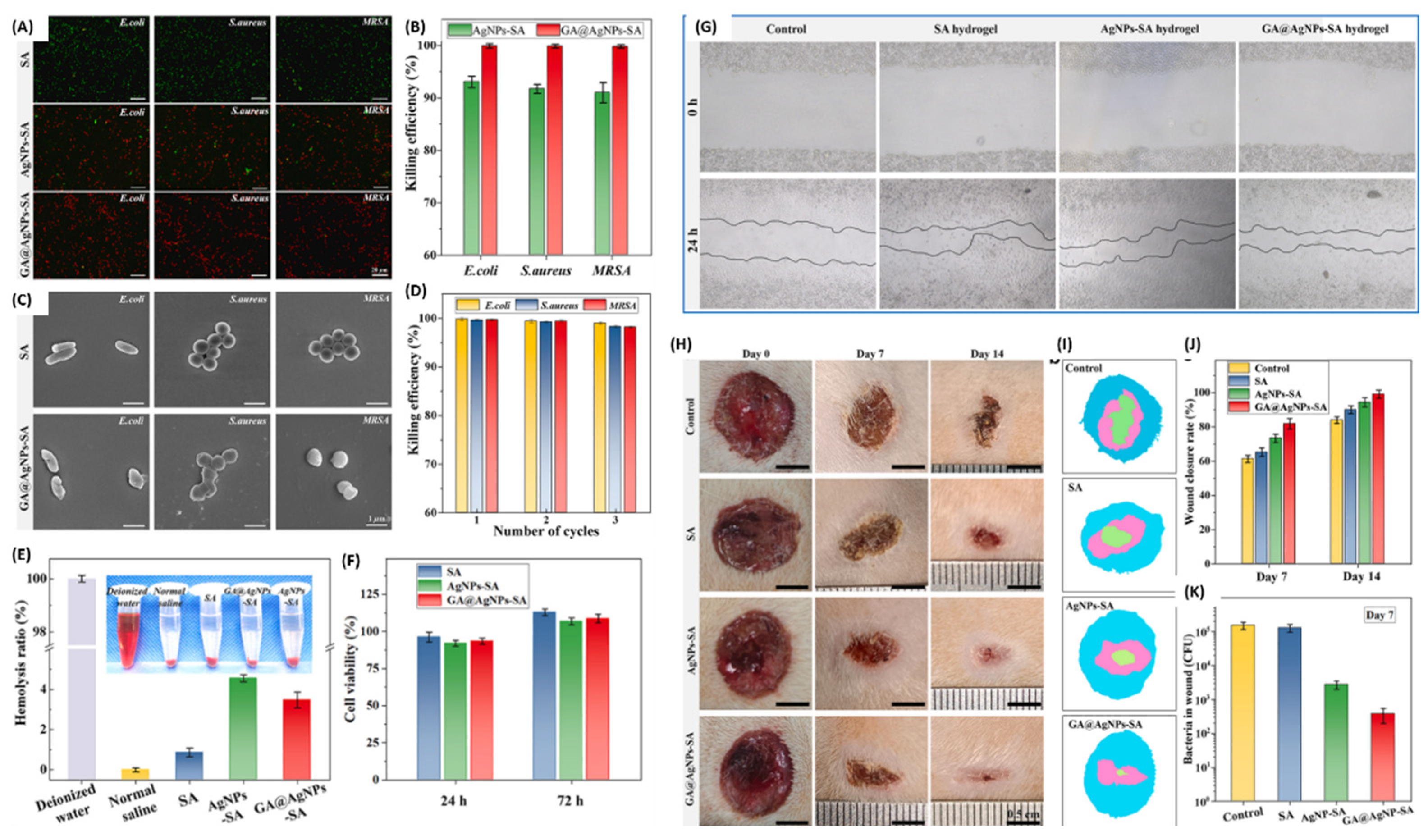 Pharmaceutics 16 00155 g008