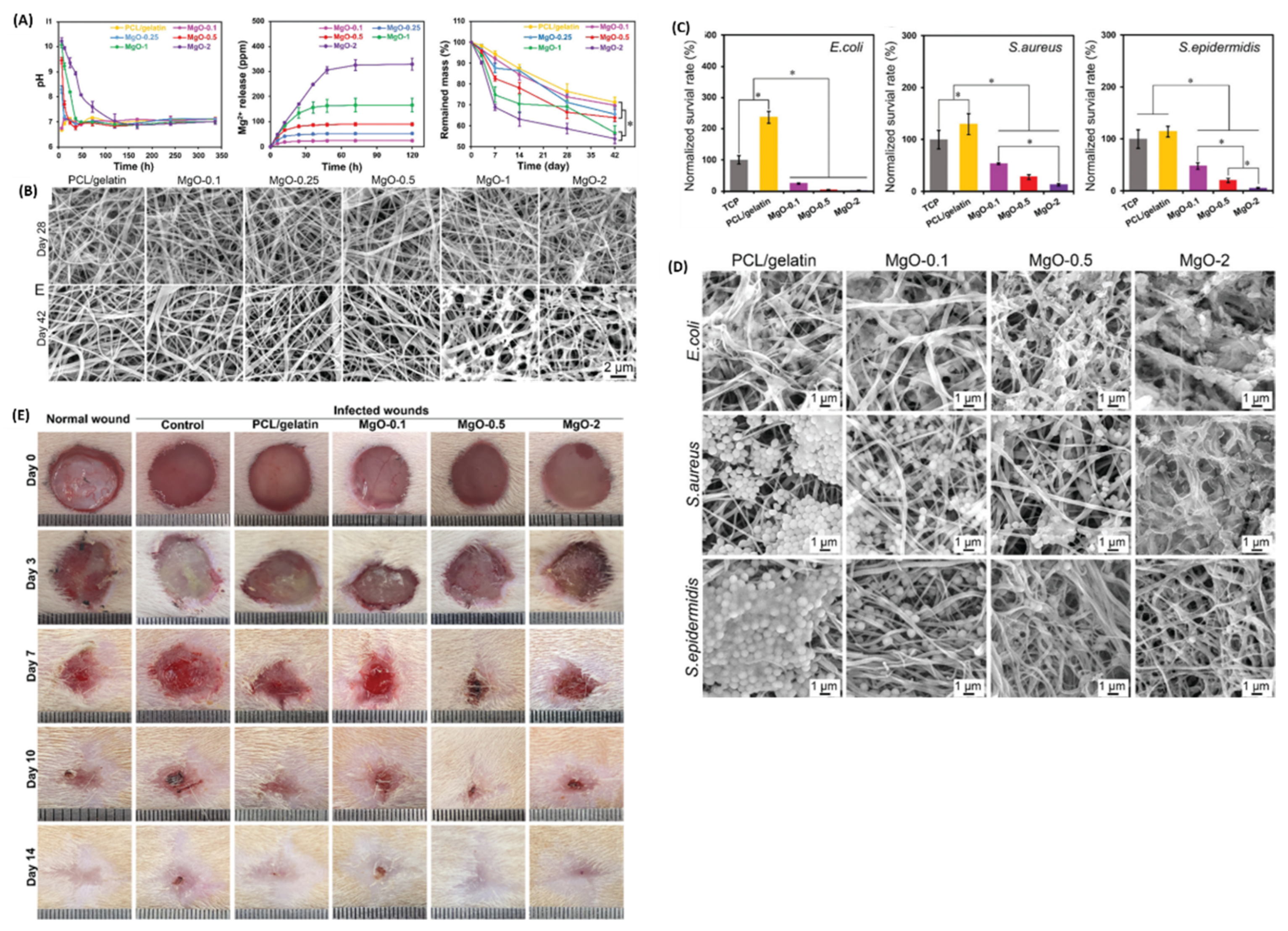 Pharmaceutics 16 00155 g012