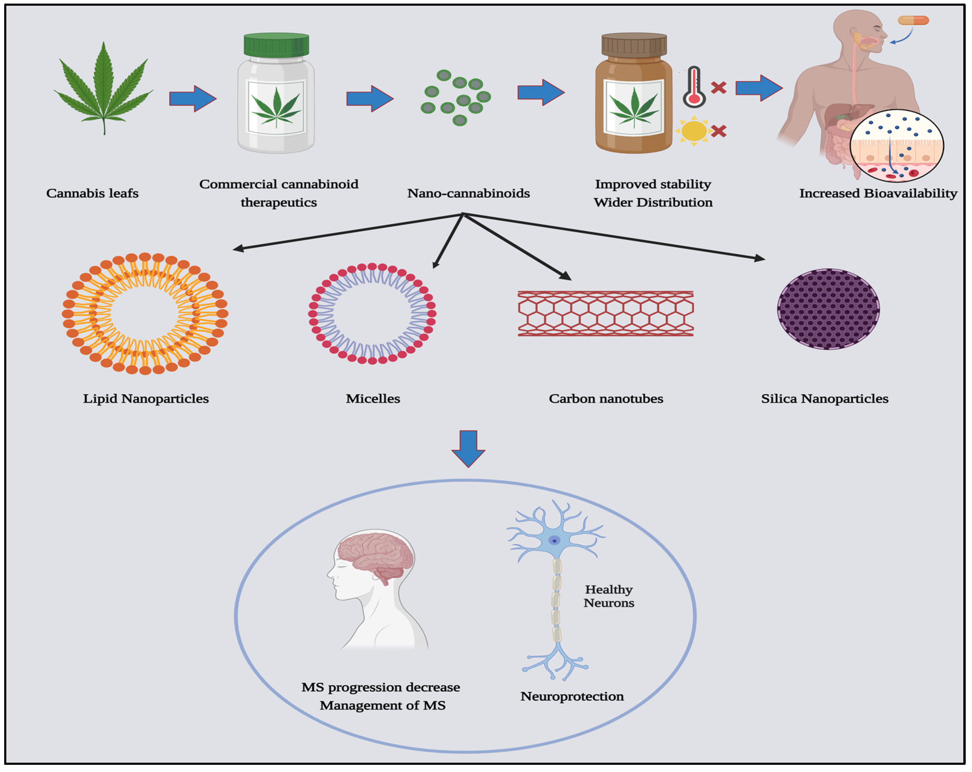 Pharmaceutics 16 00241 g003