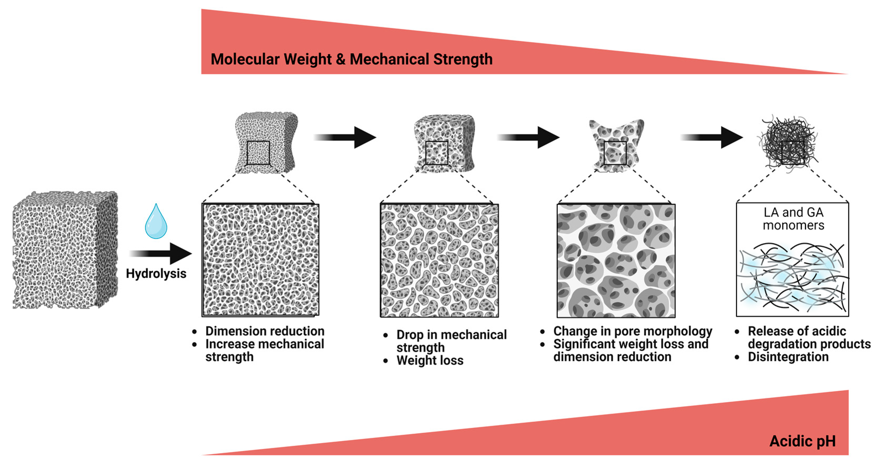 Pharmaceutics 16 00273 g002 Pharmaceutics 16 00273 g002