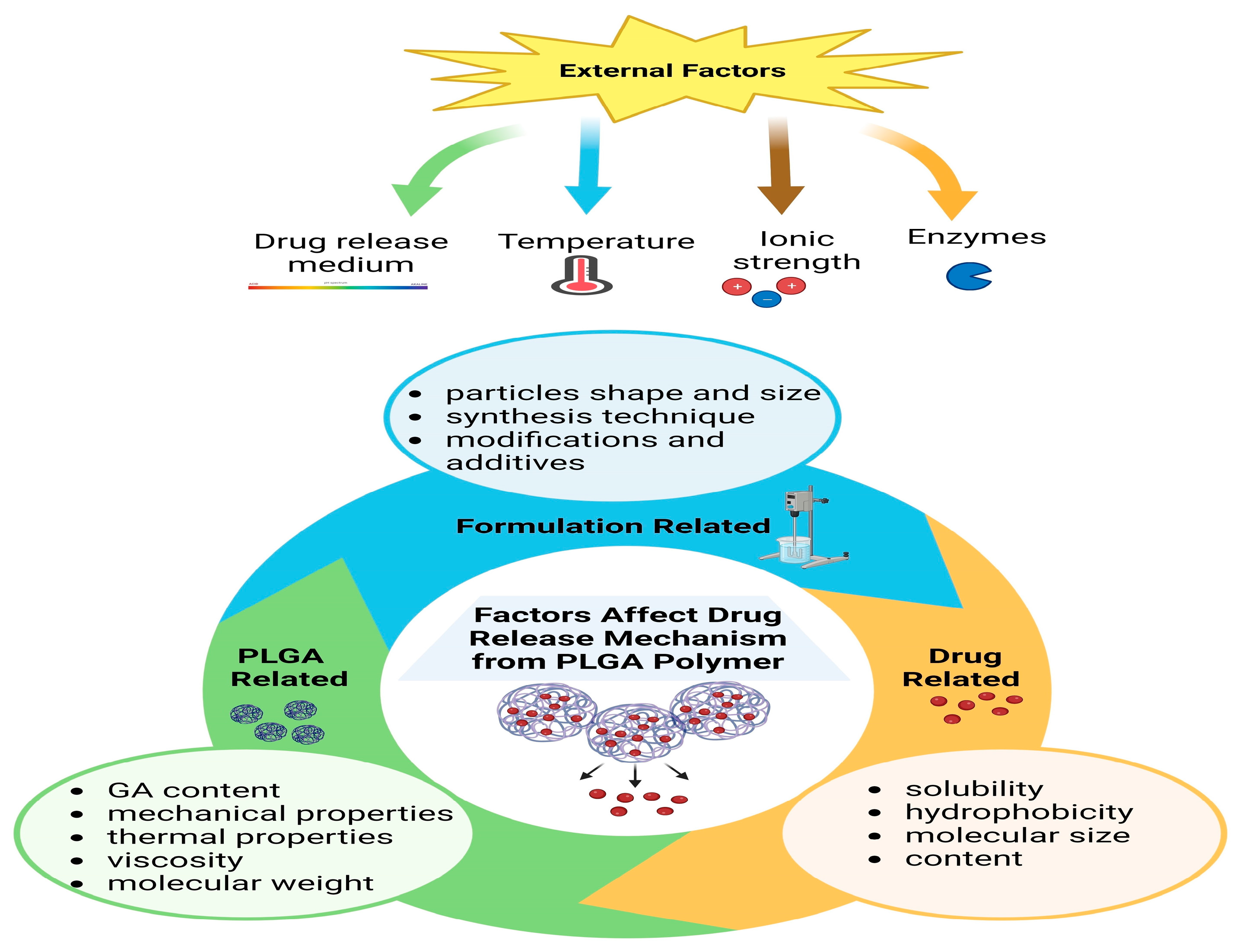 Pharmaceutics 16 00273 g003 Pharmaceutics 16 00273 g003