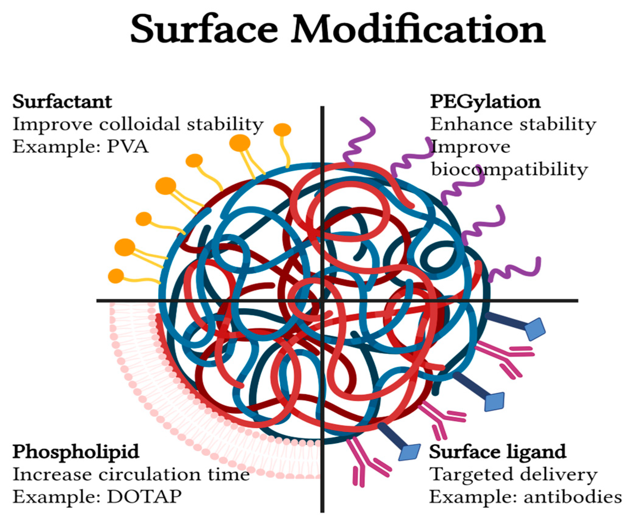 Pharmaceutics 16 00273 g004 Pharmaceutics 16 00273 g004