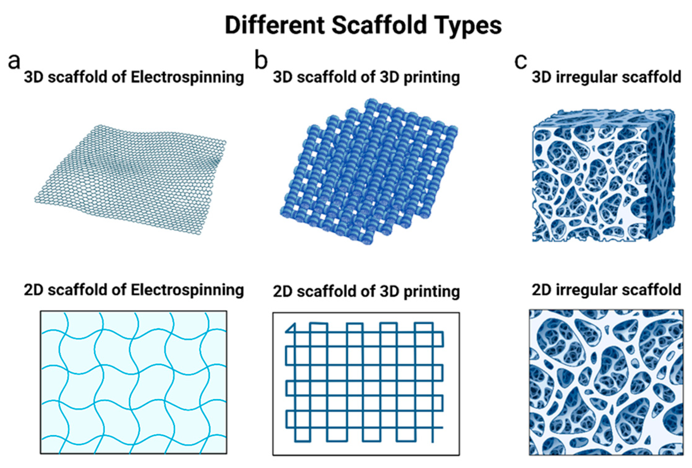 Pharmaceutics 16 00273 g006 Pharmaceutics 16 00273 g006
