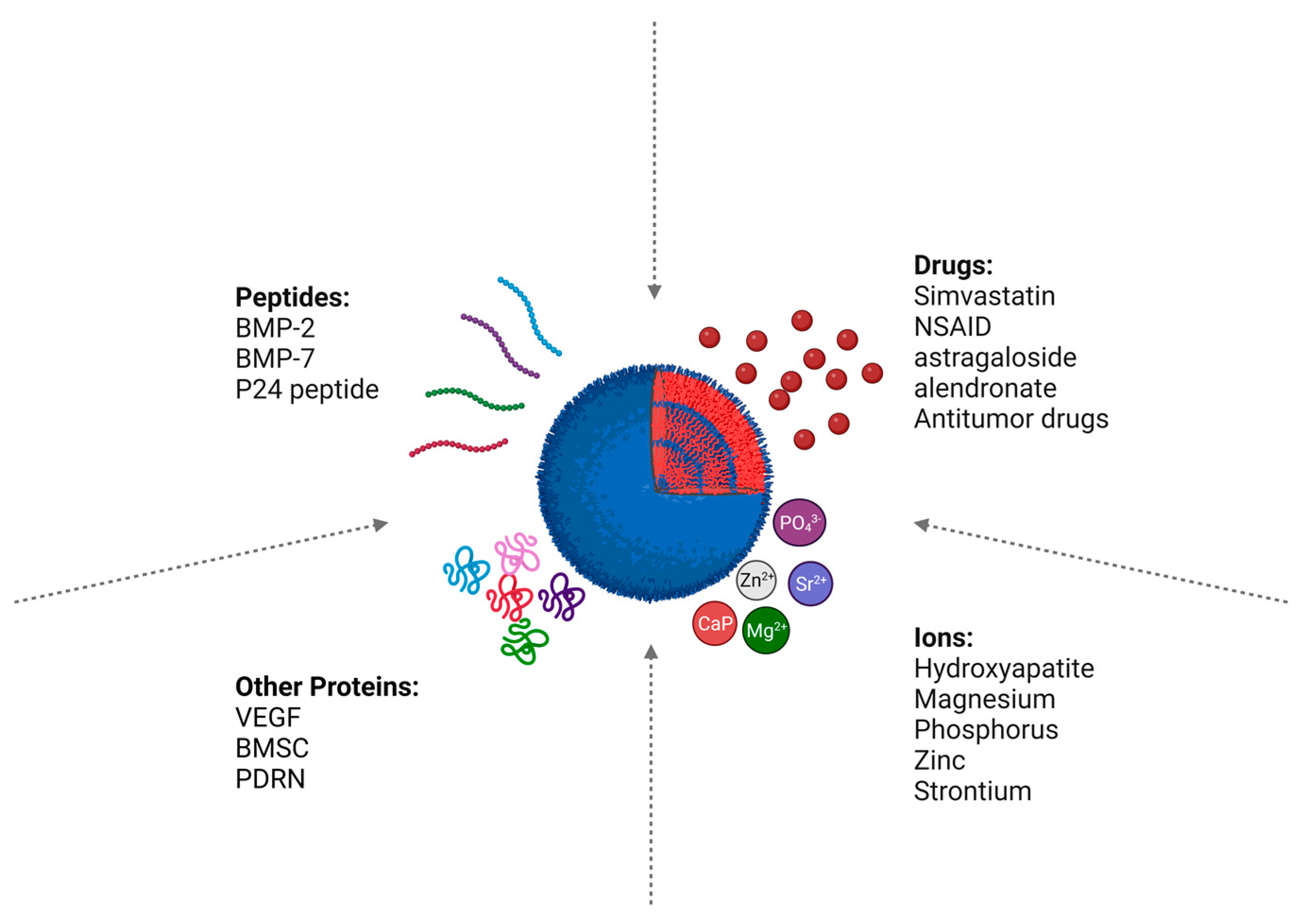 Pharmaceutics 16 00273 g007 Pharmaceutics 16 00273 g007