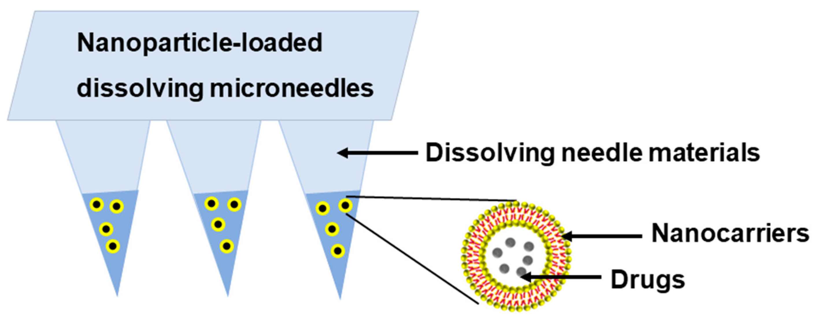 Pharmaceutics 16 00286 g002