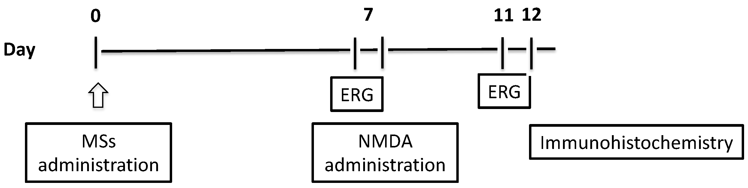 Pharmaceutics 16 00406 g001