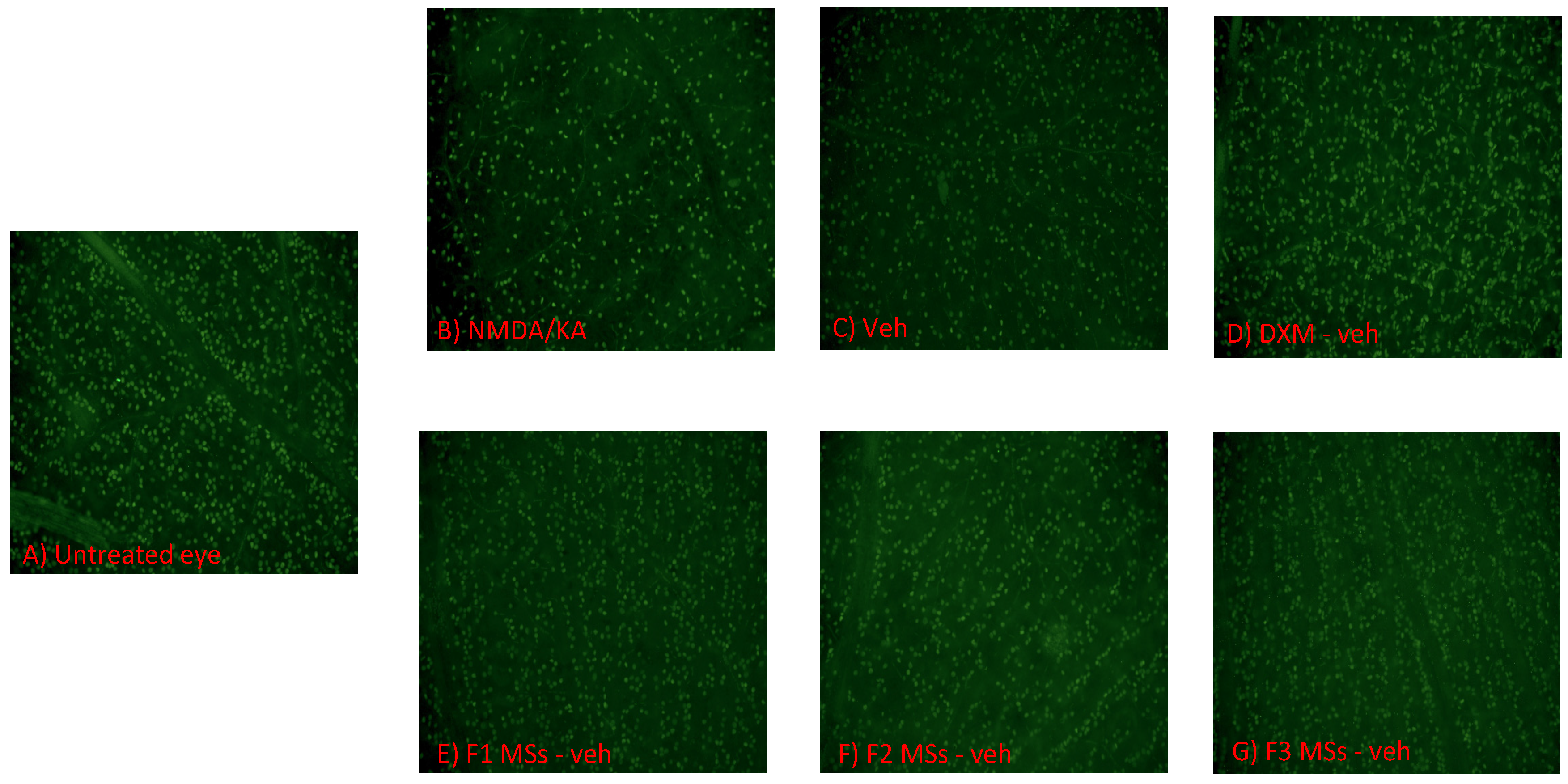 Pharmaceutics 16 00406 g005