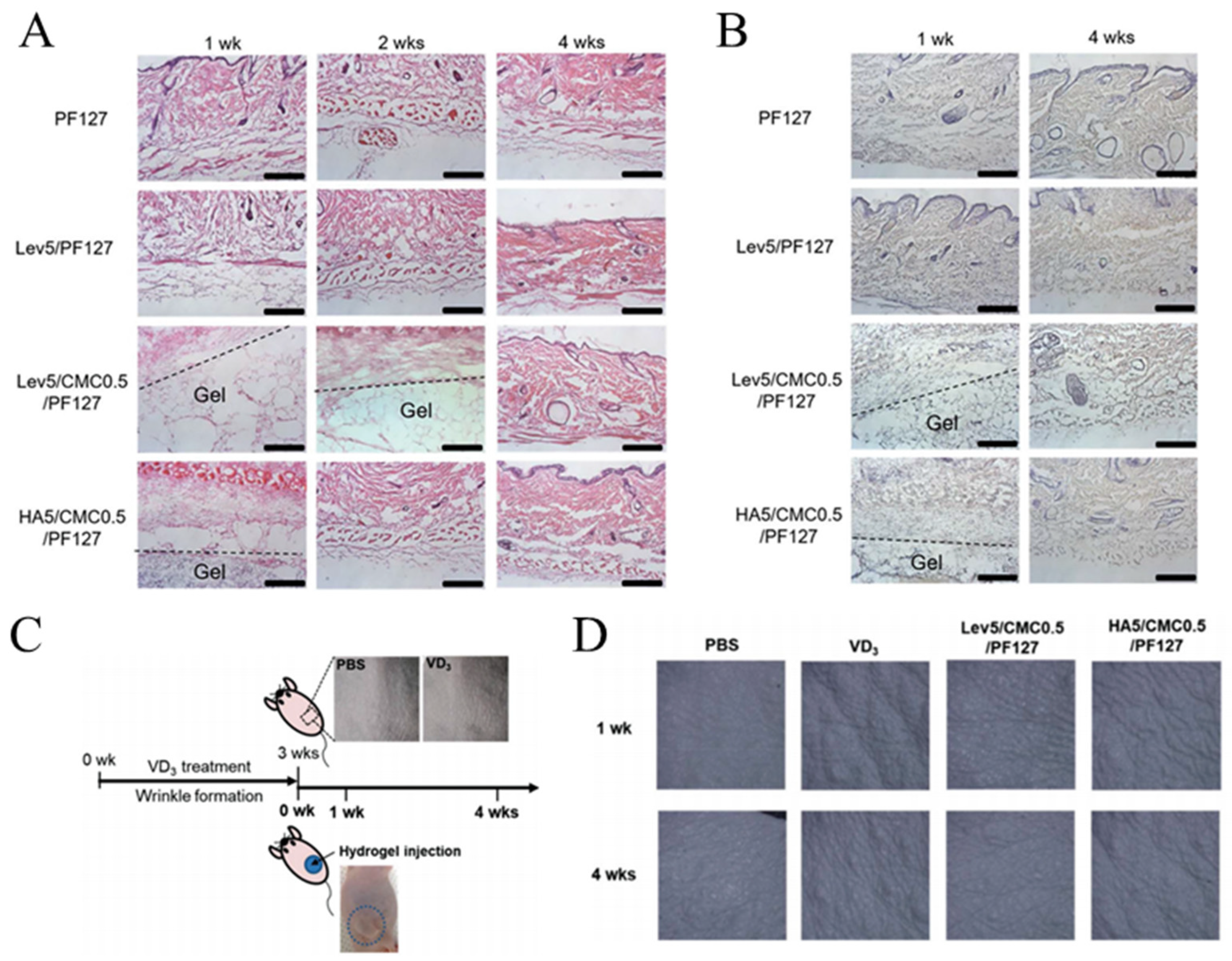 Pharmaceutics 16 00430 g005