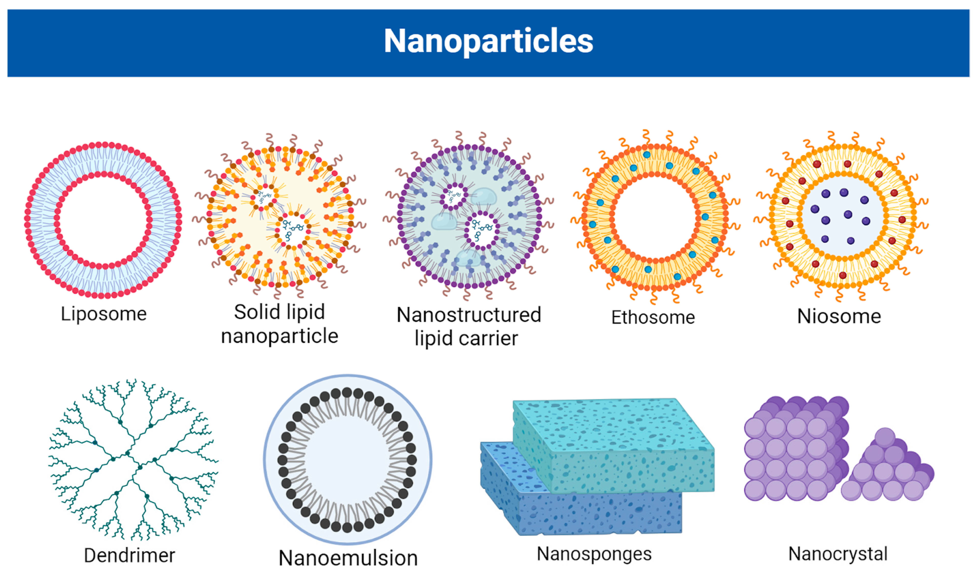 Pharmaceutics 16 00449 g003