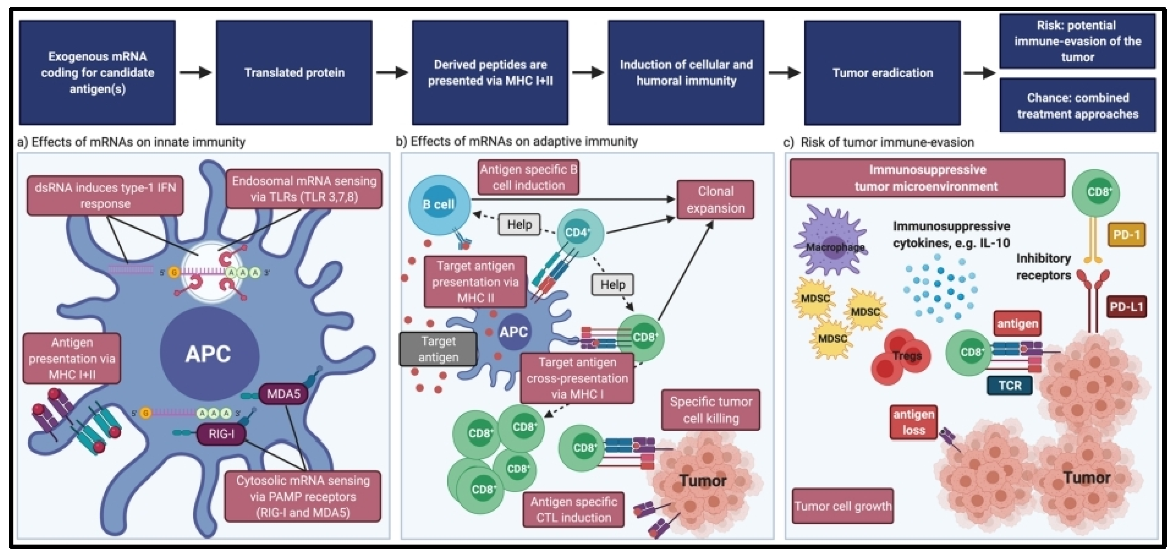 Pharmaceutics 16 00455 g004