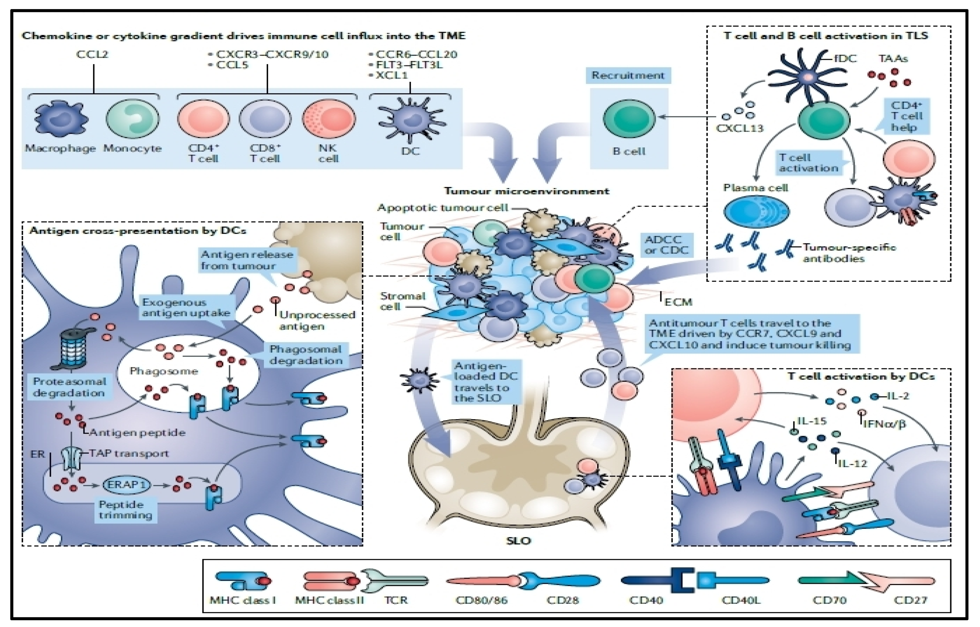 Pharmaceutics 16 00455 g006