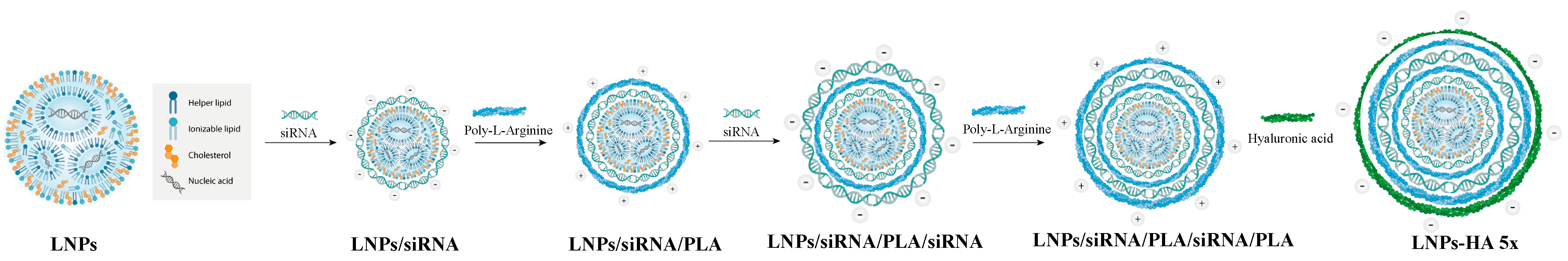 Pharmaceutics 16 00563 g002