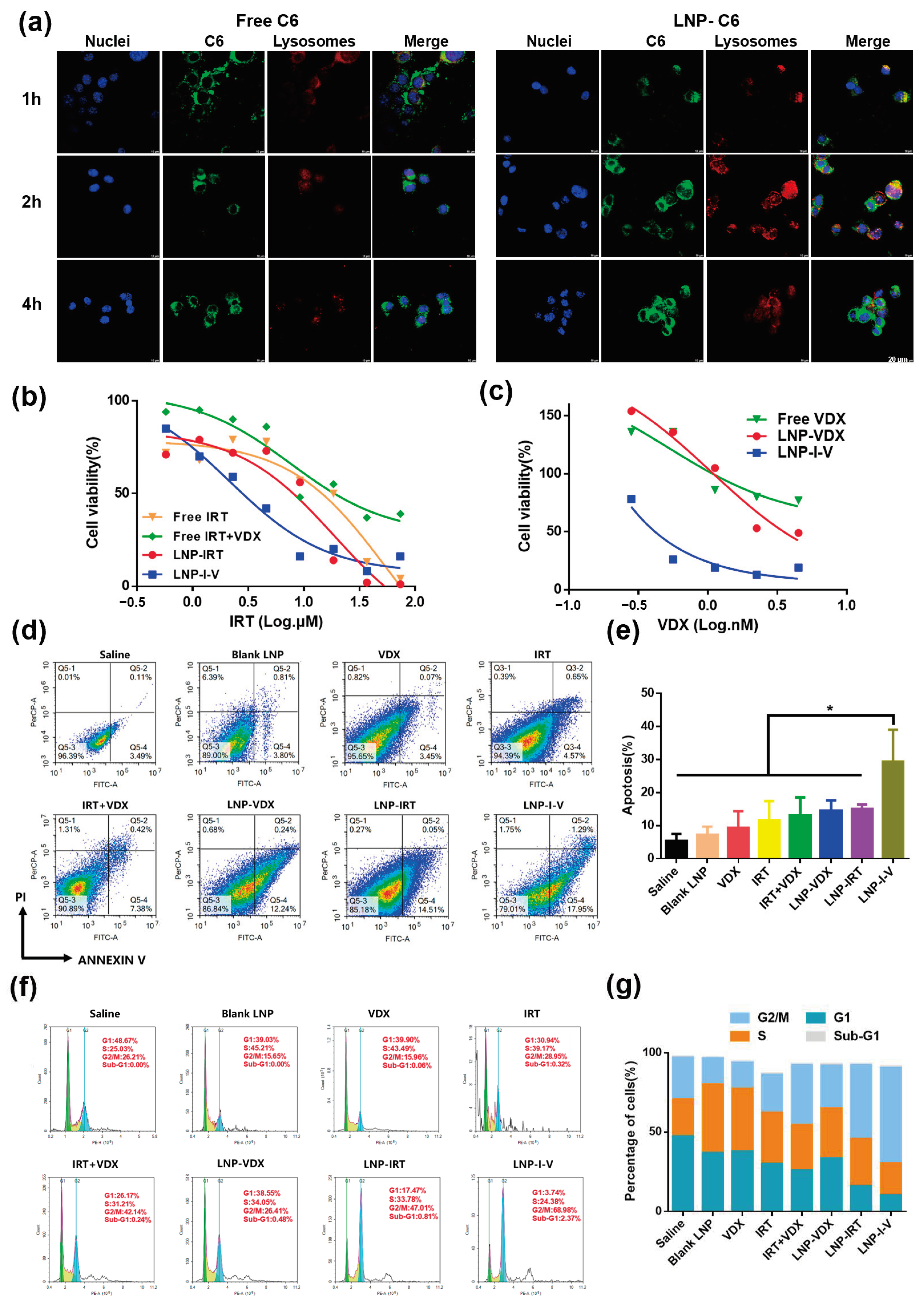 Pharmaceutics 16 00570 g002