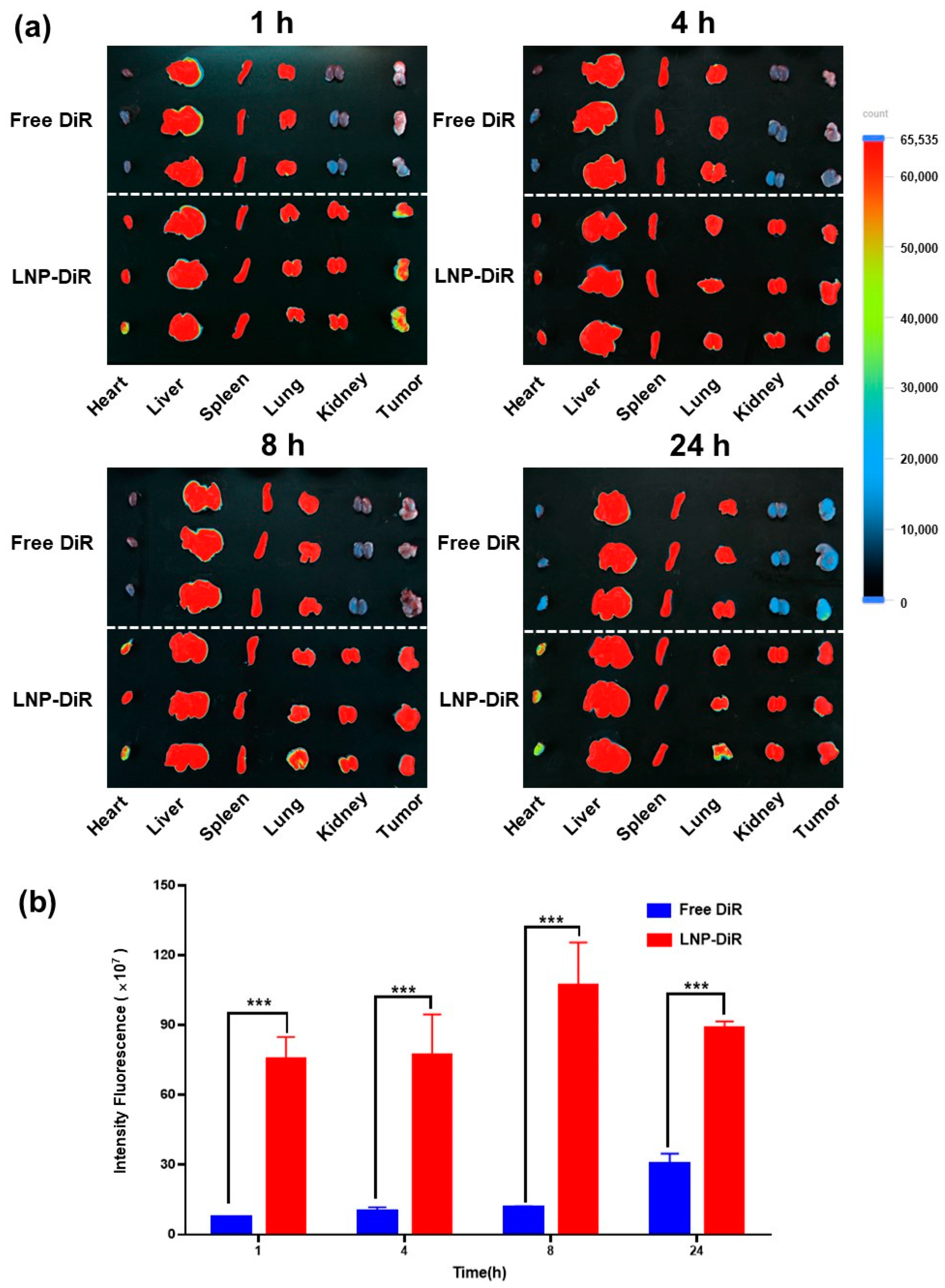 Pharmaceutics 16 00570 g003