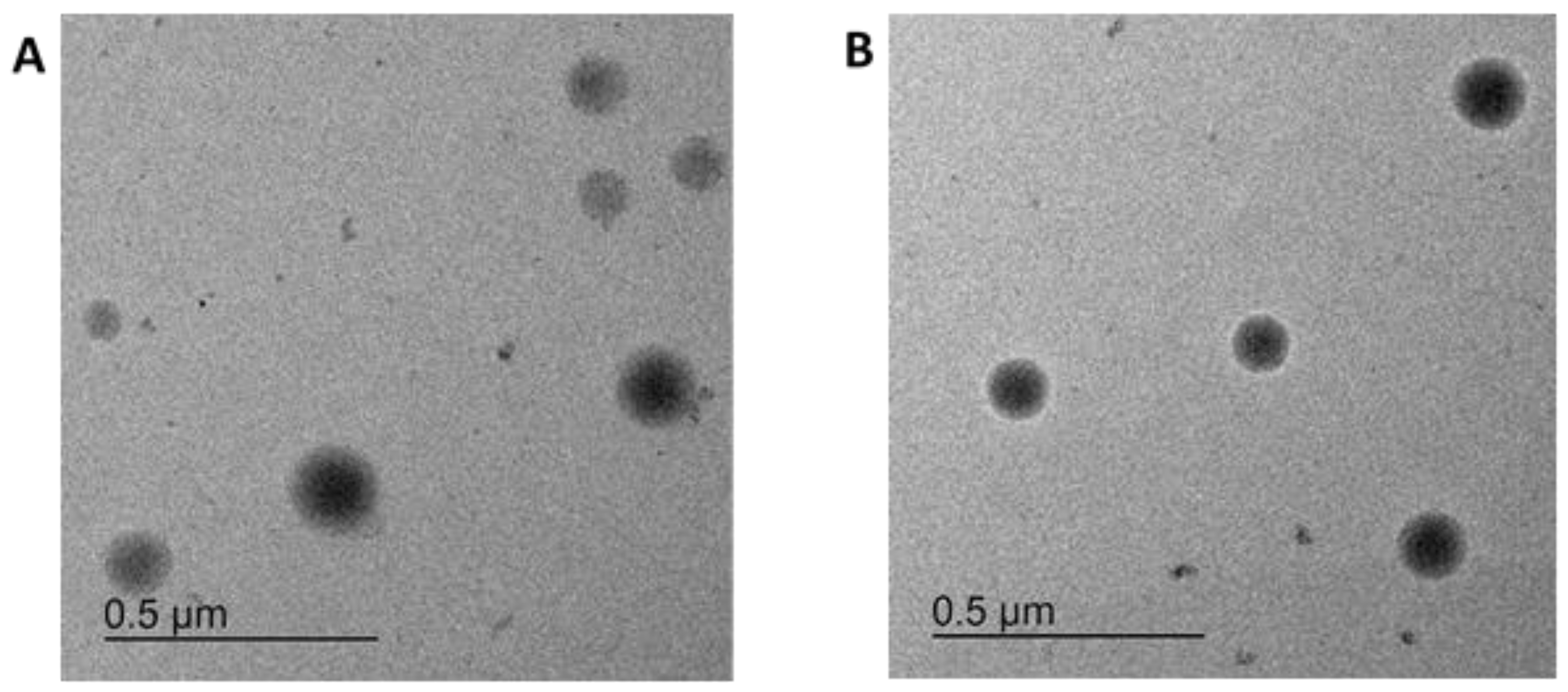 Pharmaceutics 16 00571 g003