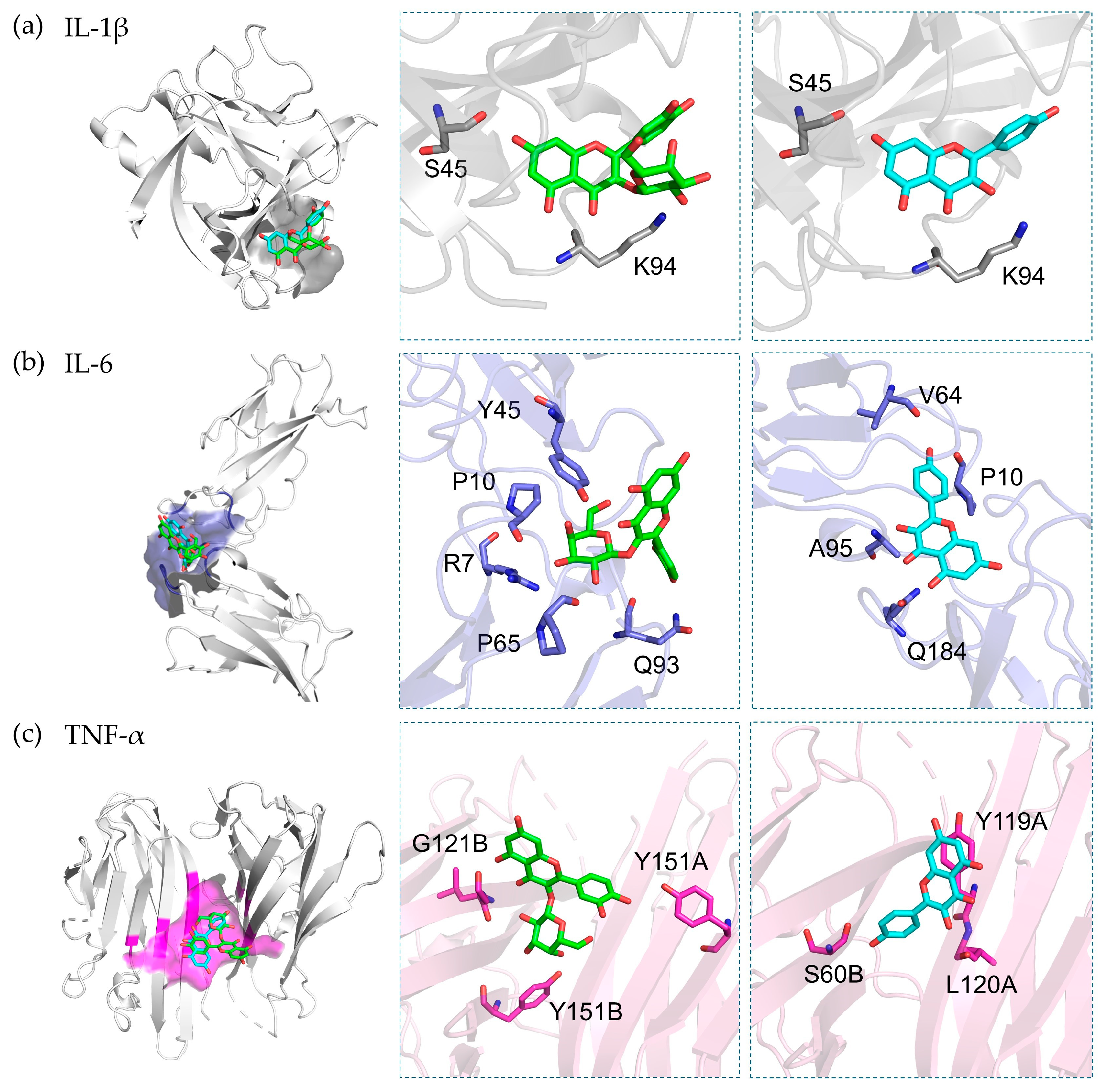 Pharmaceutics 16 00573 g006