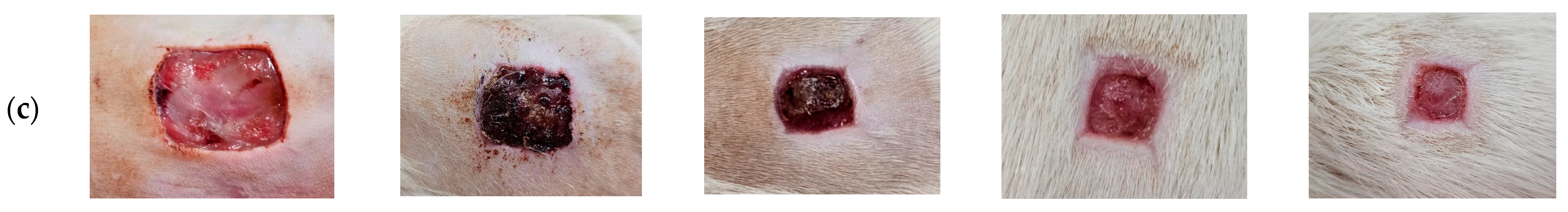 Pharmaceutics 16 00573 g009b