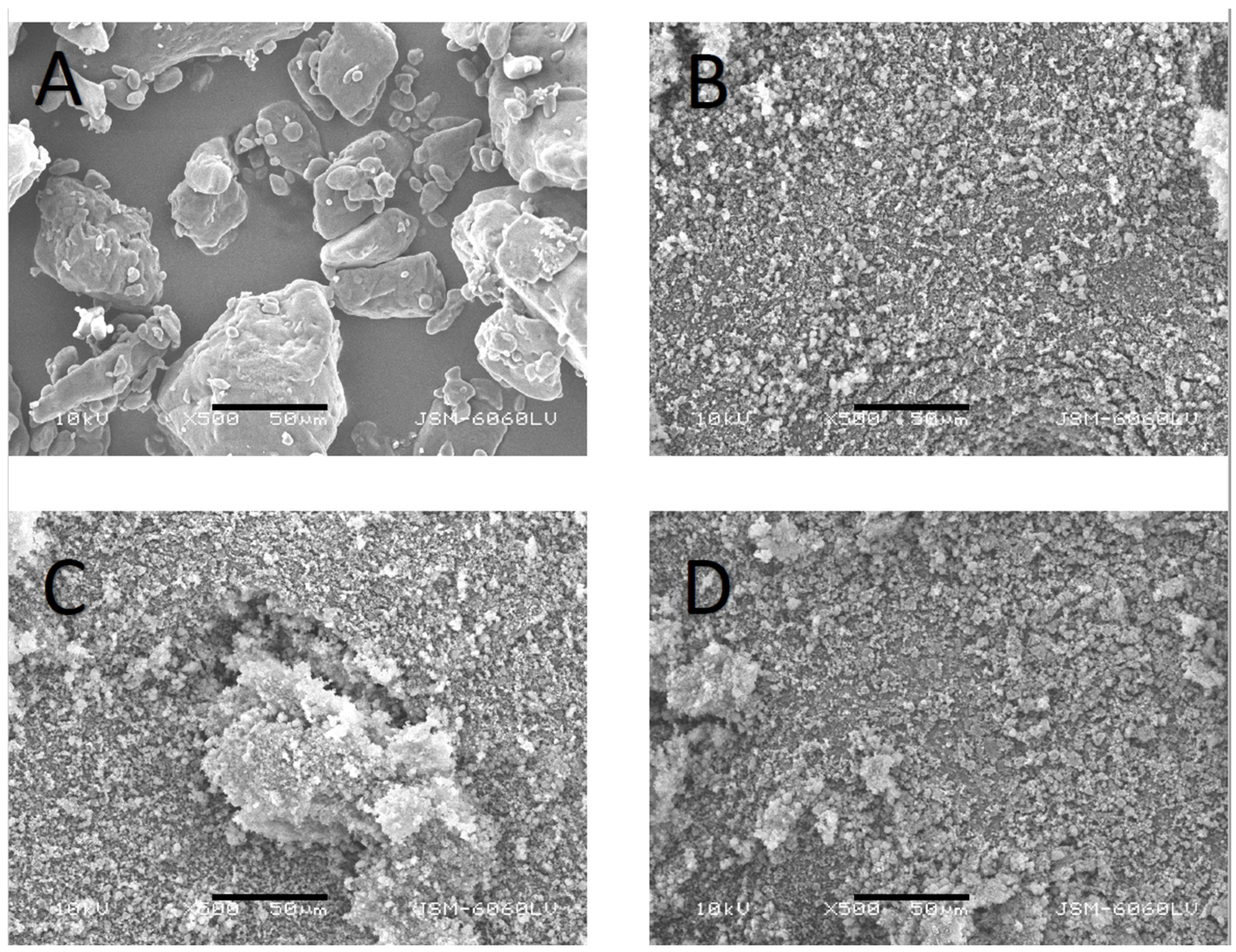 Pharmaceutics 16 00575 g002