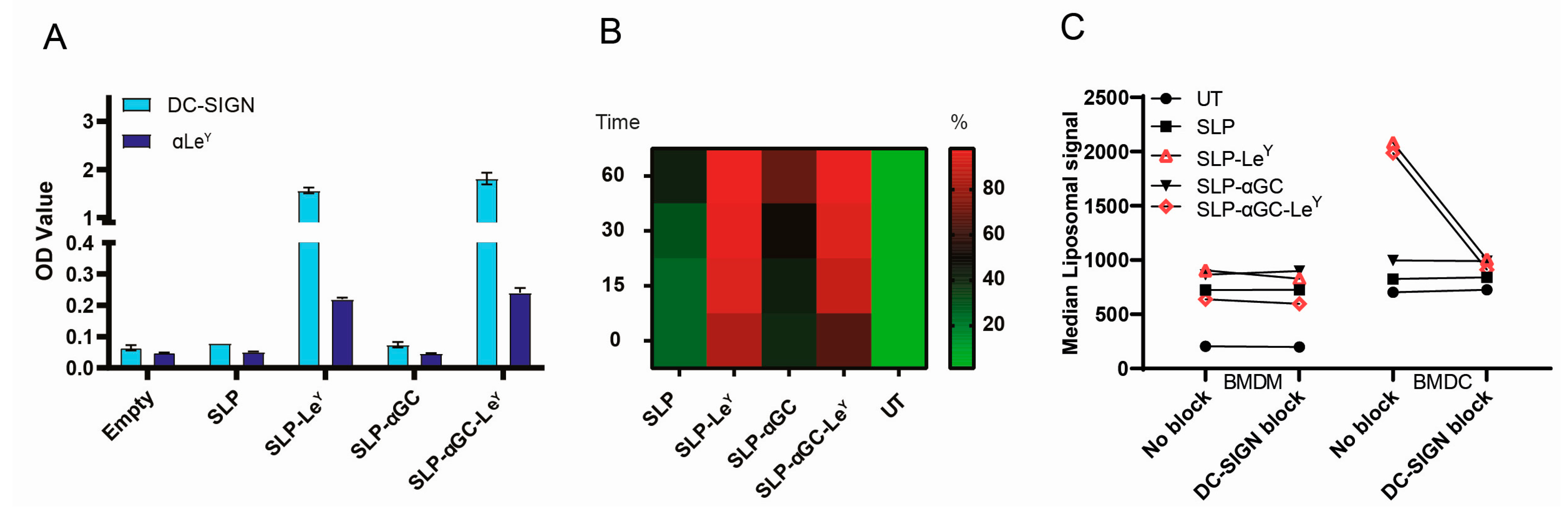 Pharmaceutics 16 00581 g002