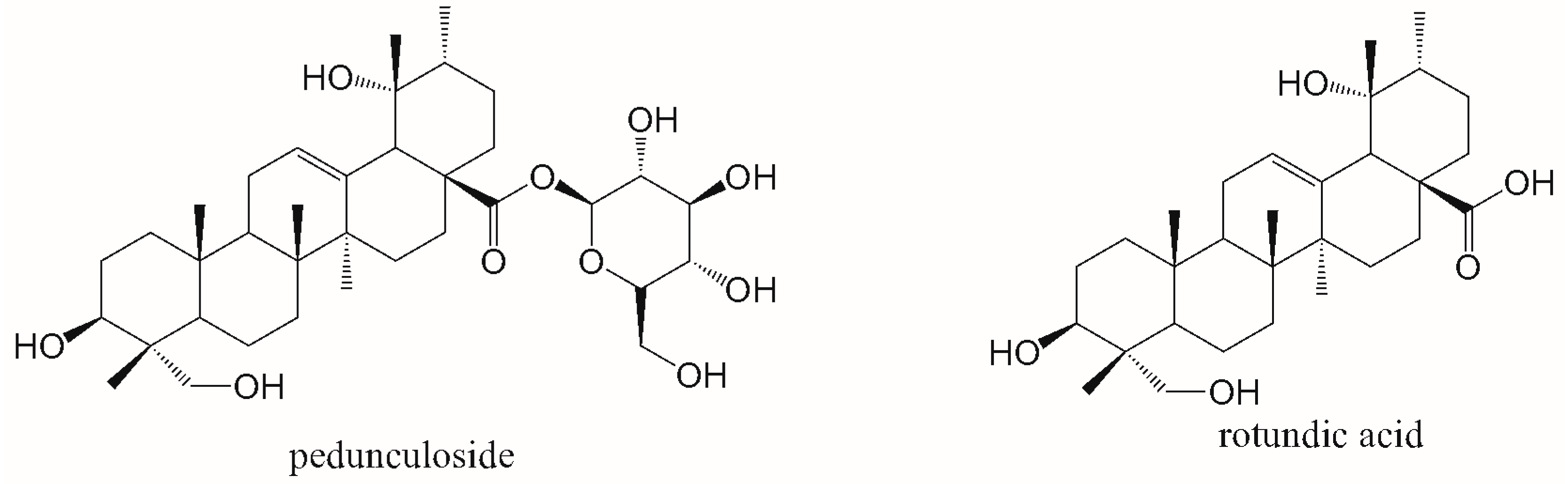 Pharmaceutics 16 00591 g001