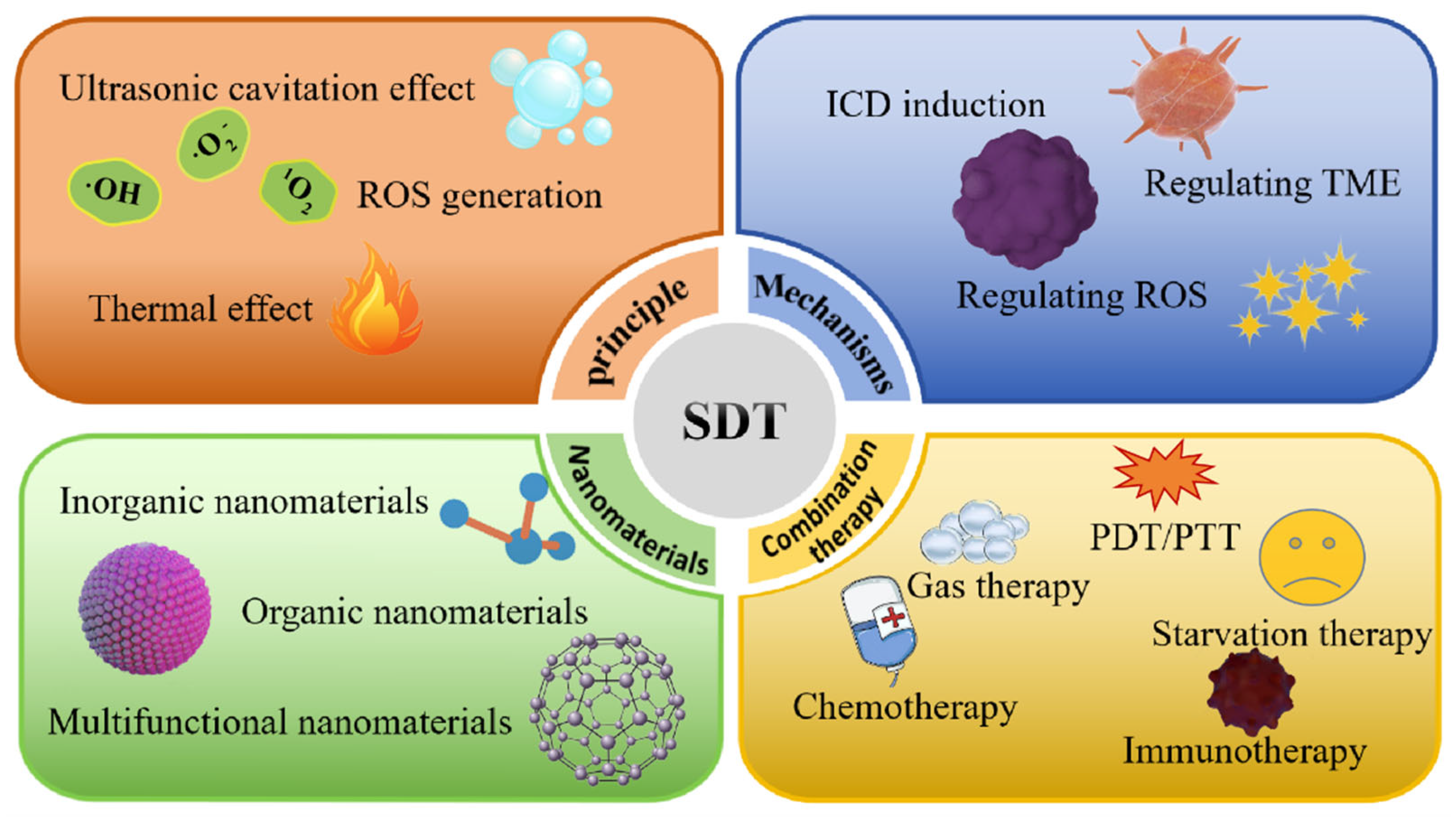 Pharmaceutics 16 00603 g001
