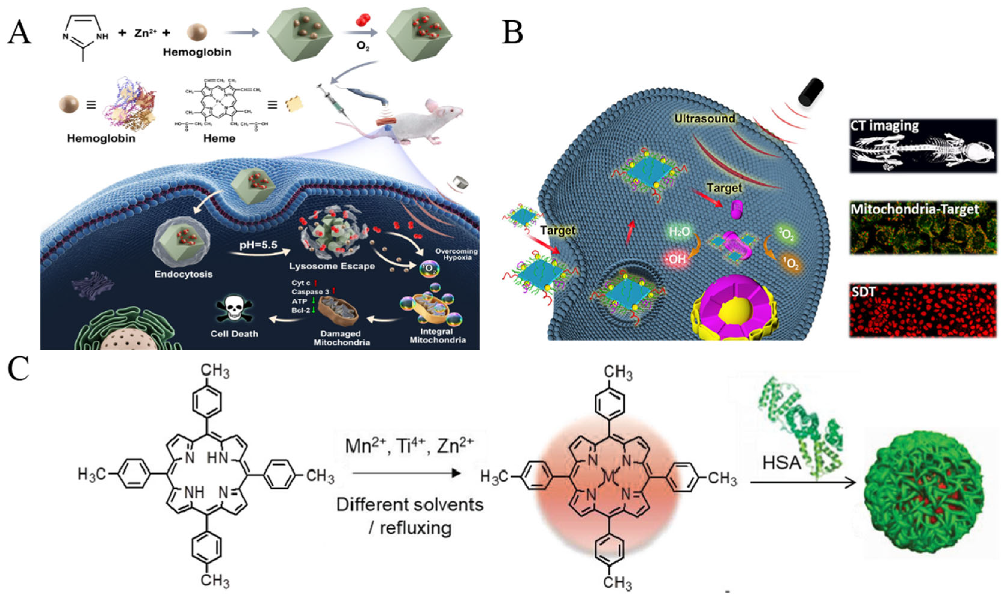 Pharmaceutics 16 00603 g004