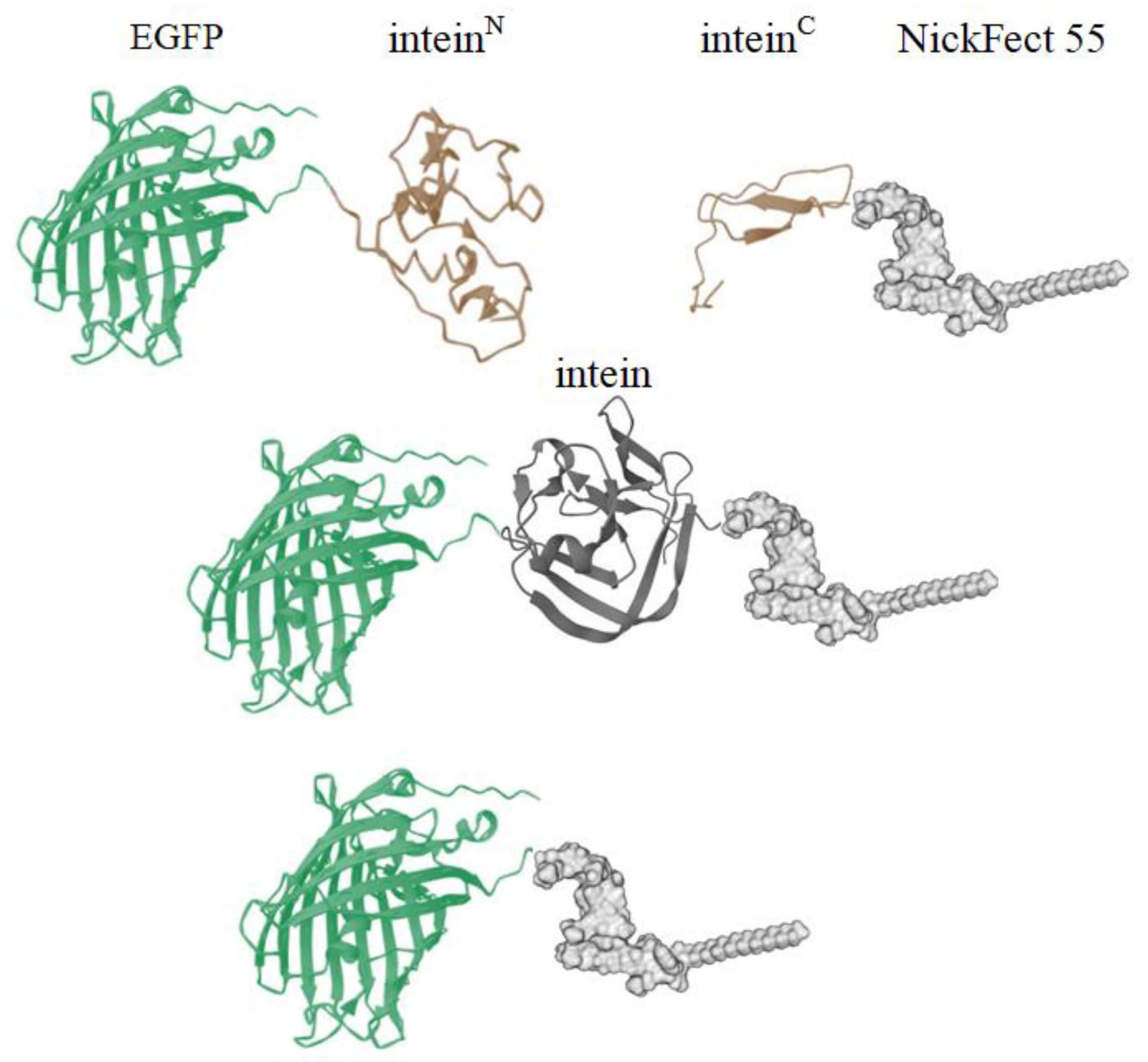 Pharmaceutics 16 00617 g001