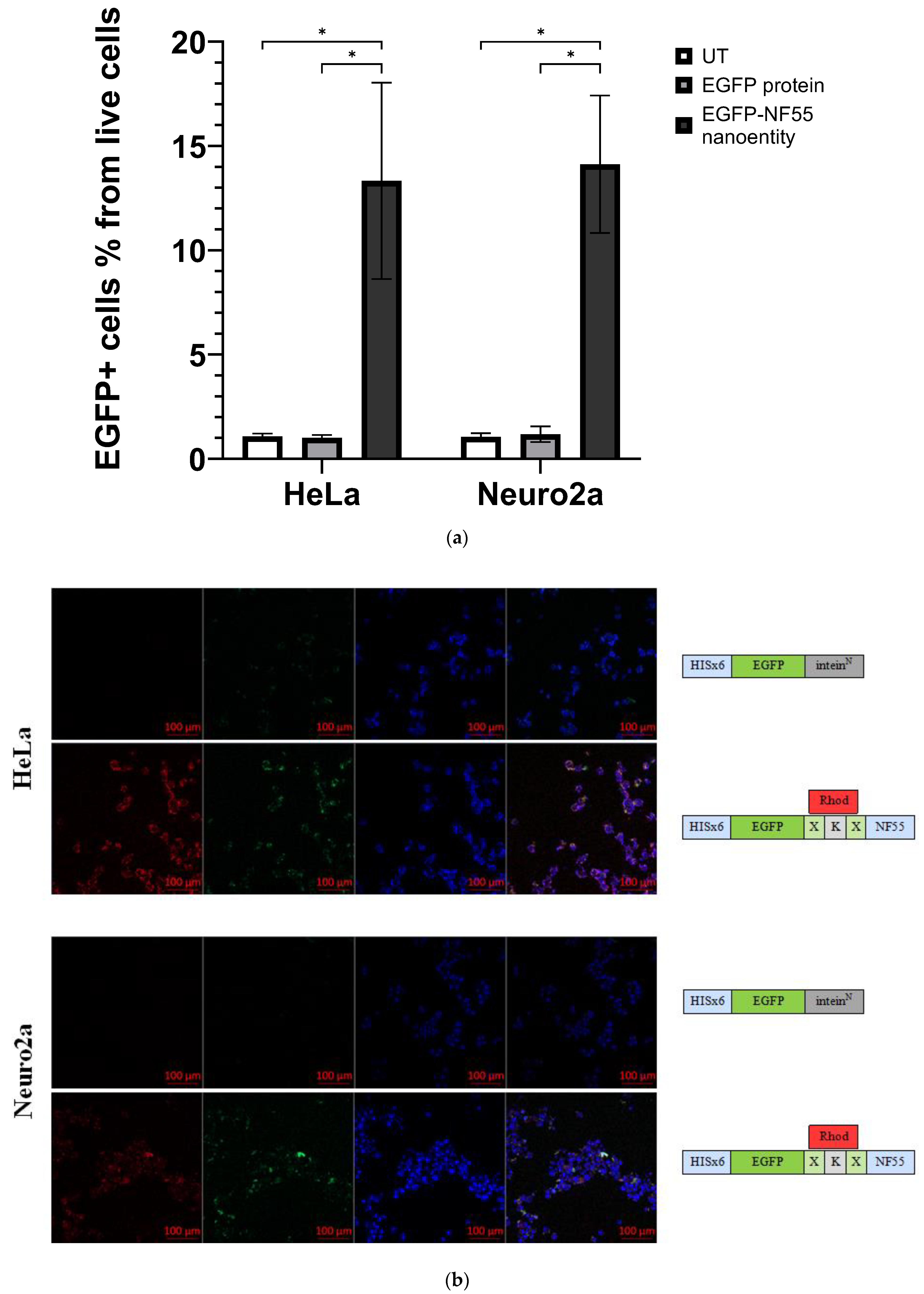 Pharmaceutics 16 00617 g004