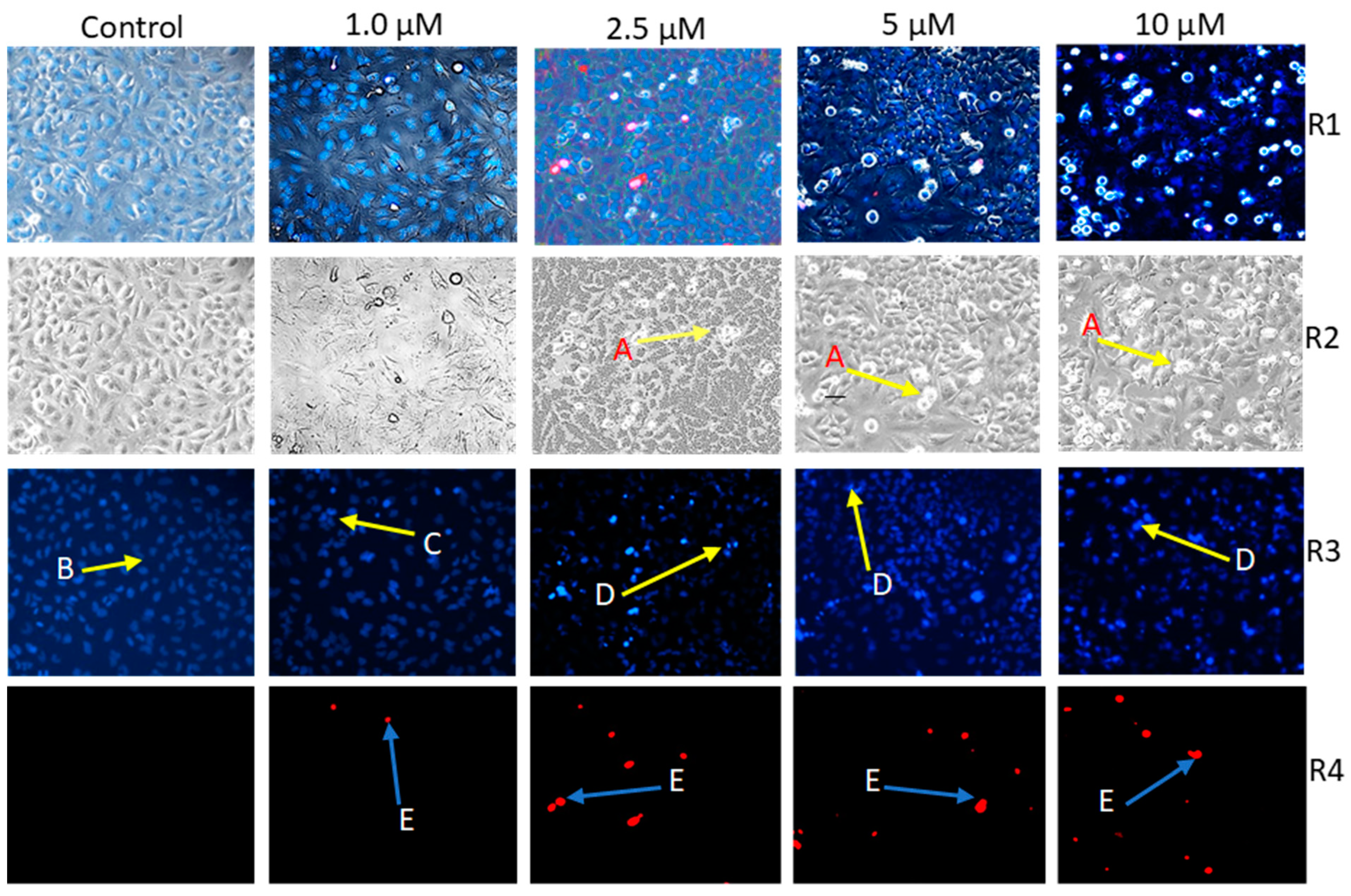 Pharmaceutics 16 00622 g002