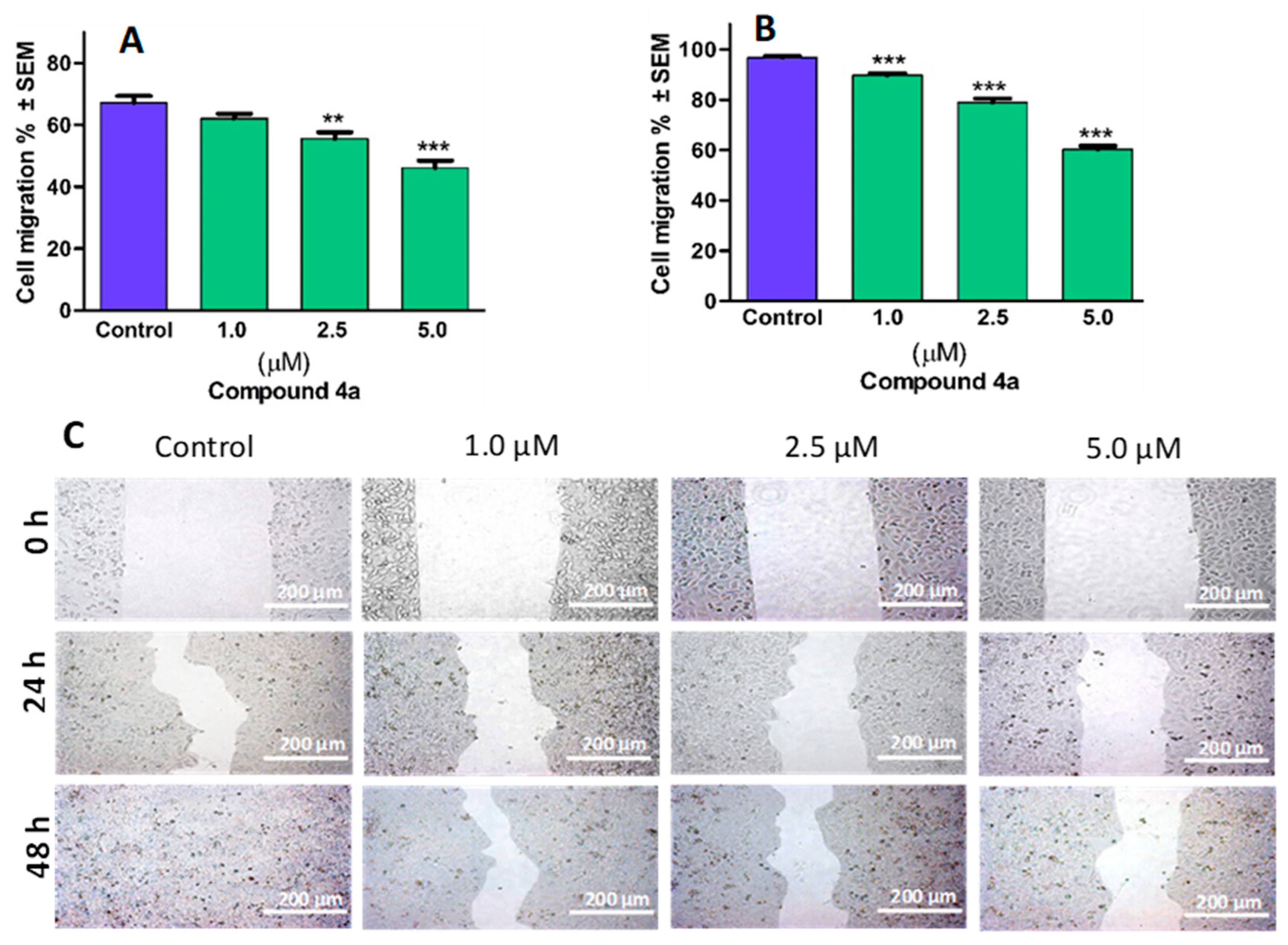 Pharmaceutics 16 00622 g006