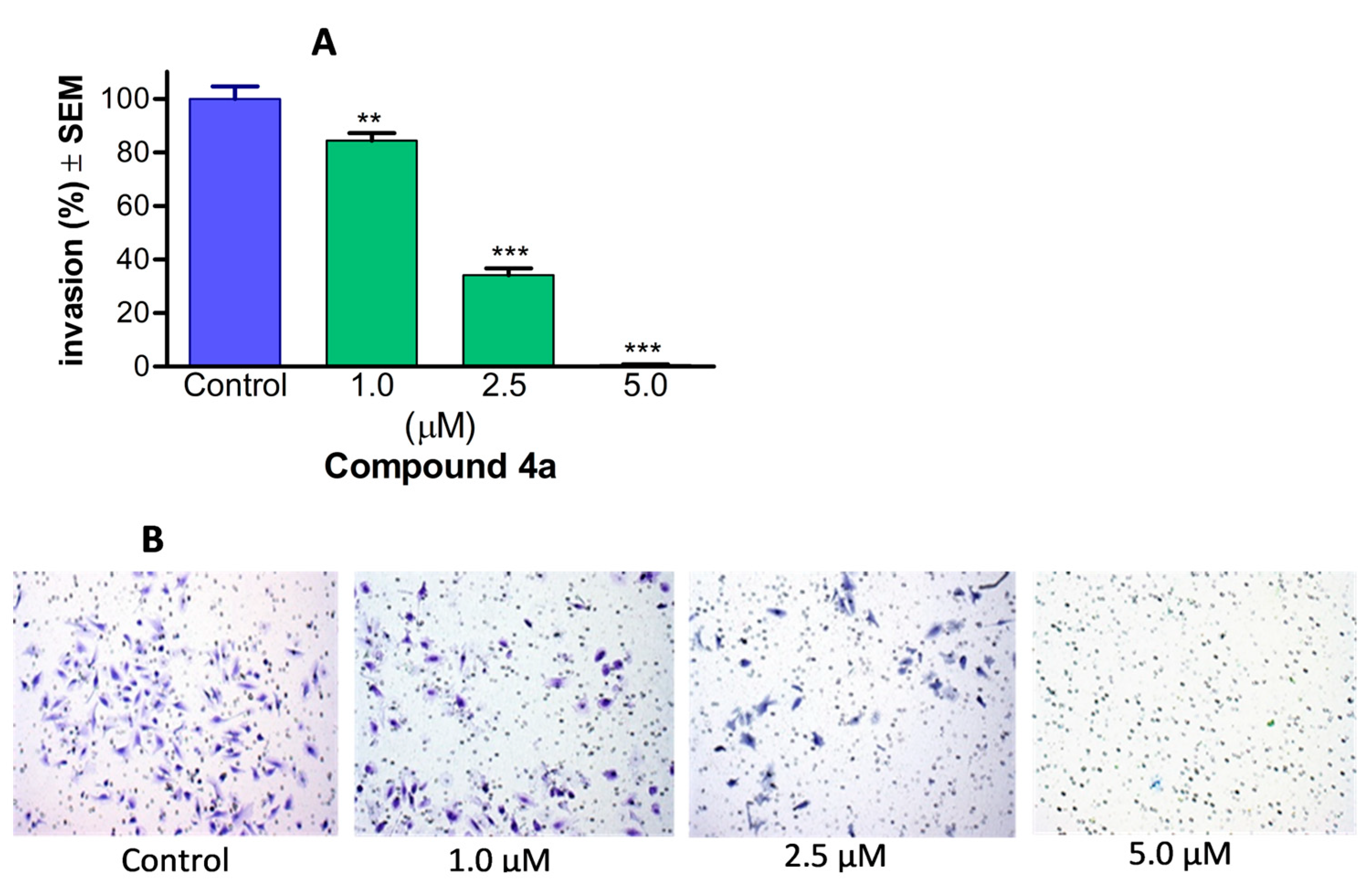 Pharmaceutics 16 00622 g007